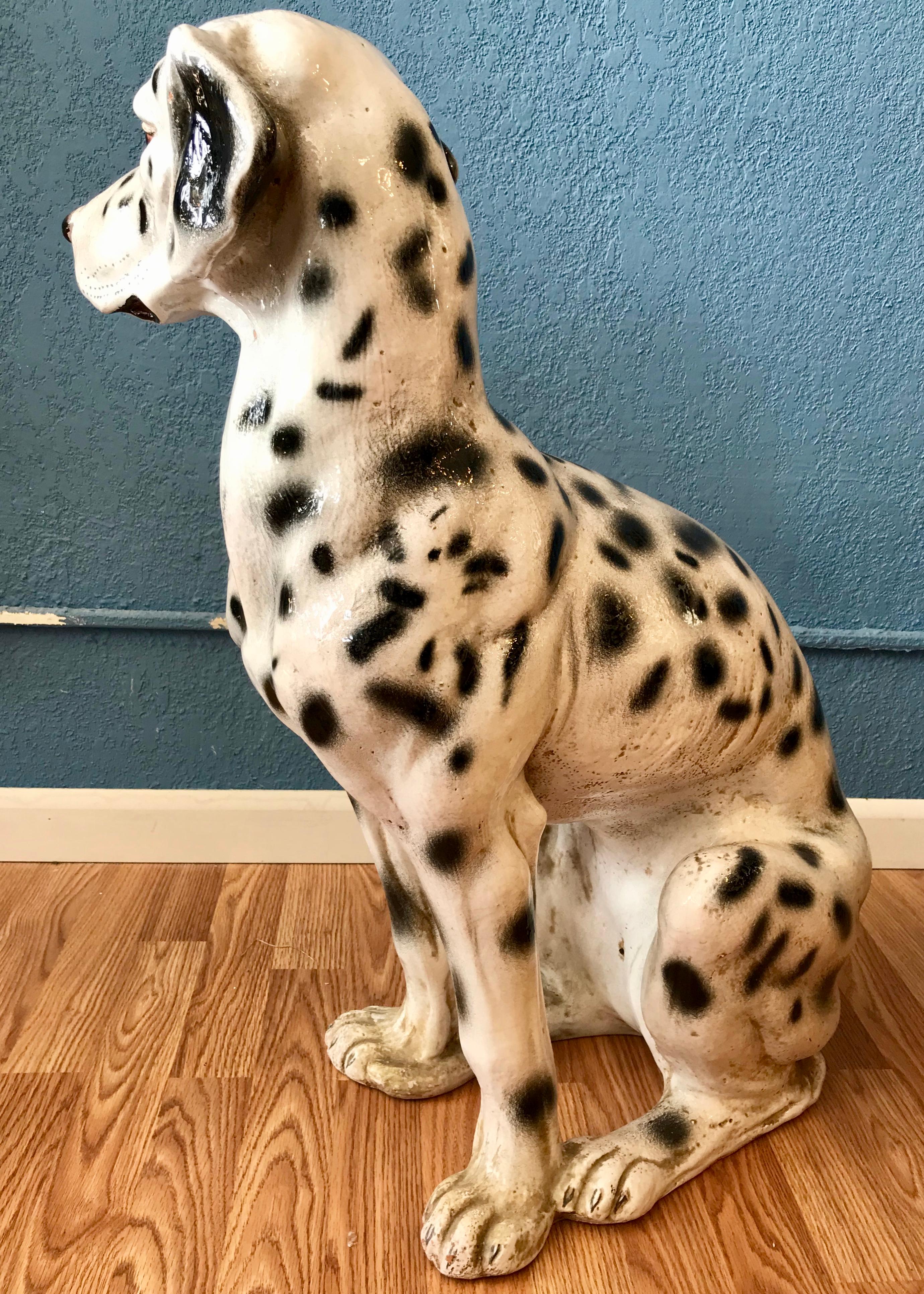 dalmation size
