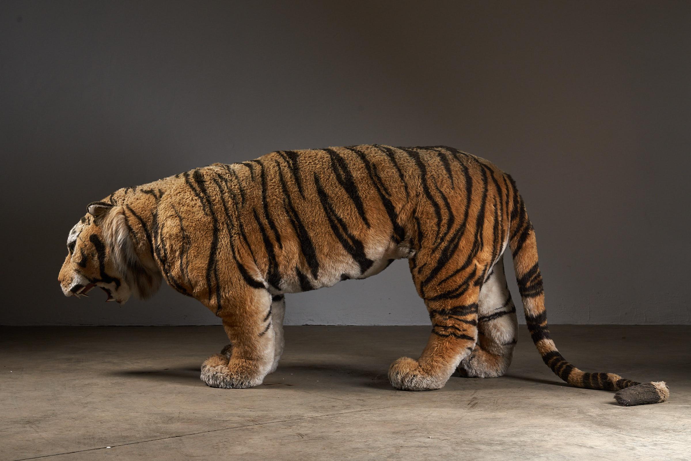 Life Size Tiger Teddy Antique children animal In Good Condition For Sale In Mortsel, BE