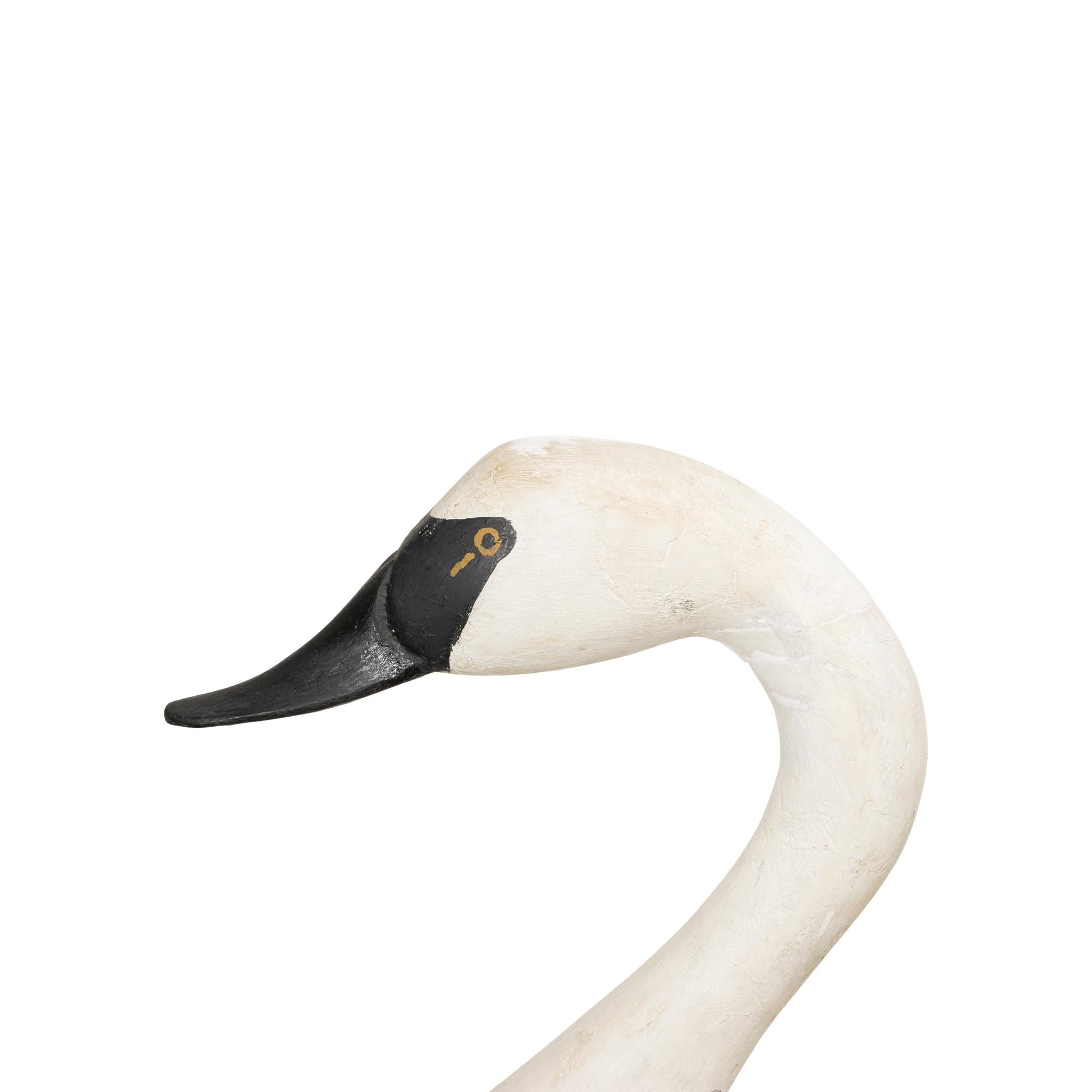American Life Size Trumpeter Swan Decoy For Sale