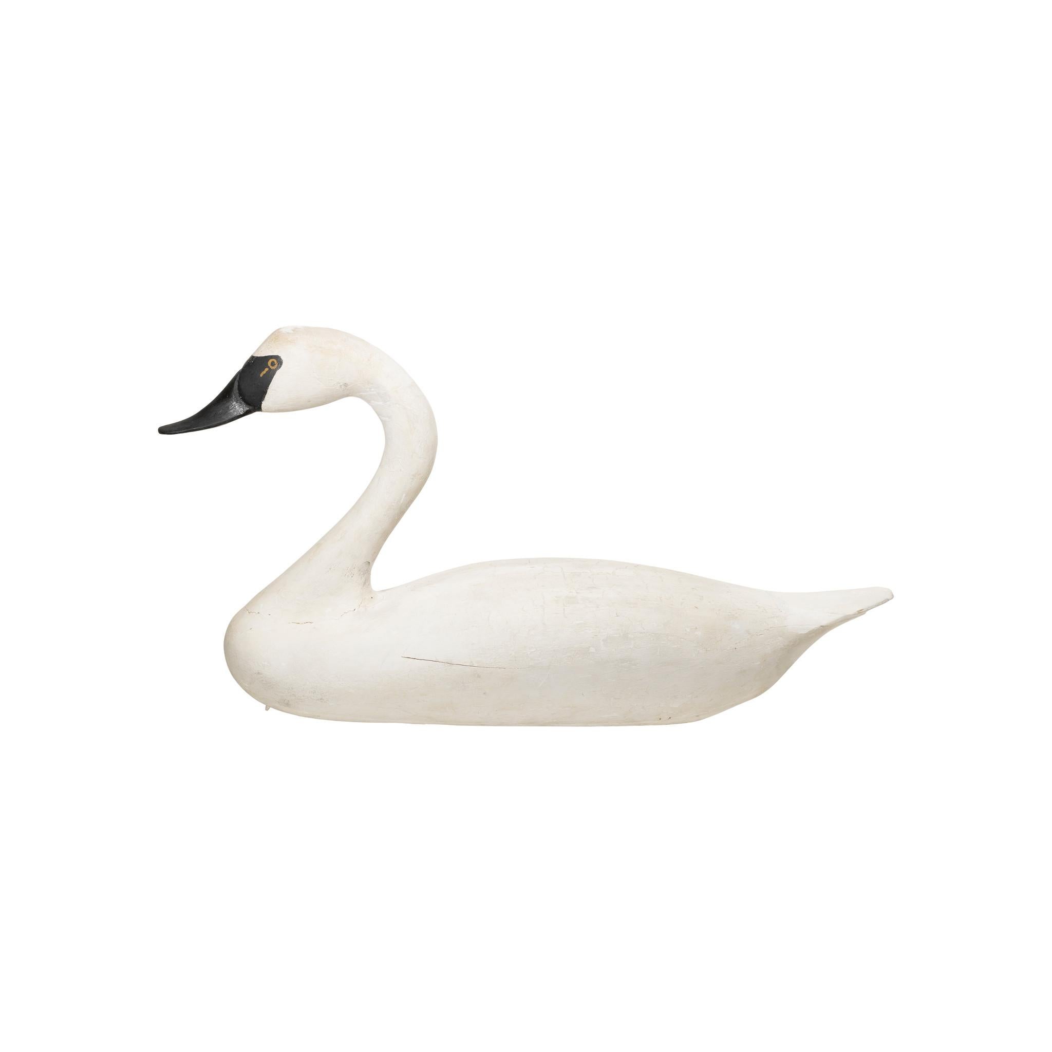 Hand-Carved Life Size Trumpeter Swan Decoy For Sale
