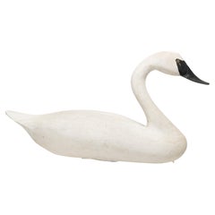 Señuelo de cisne trompetero de tamaño natural