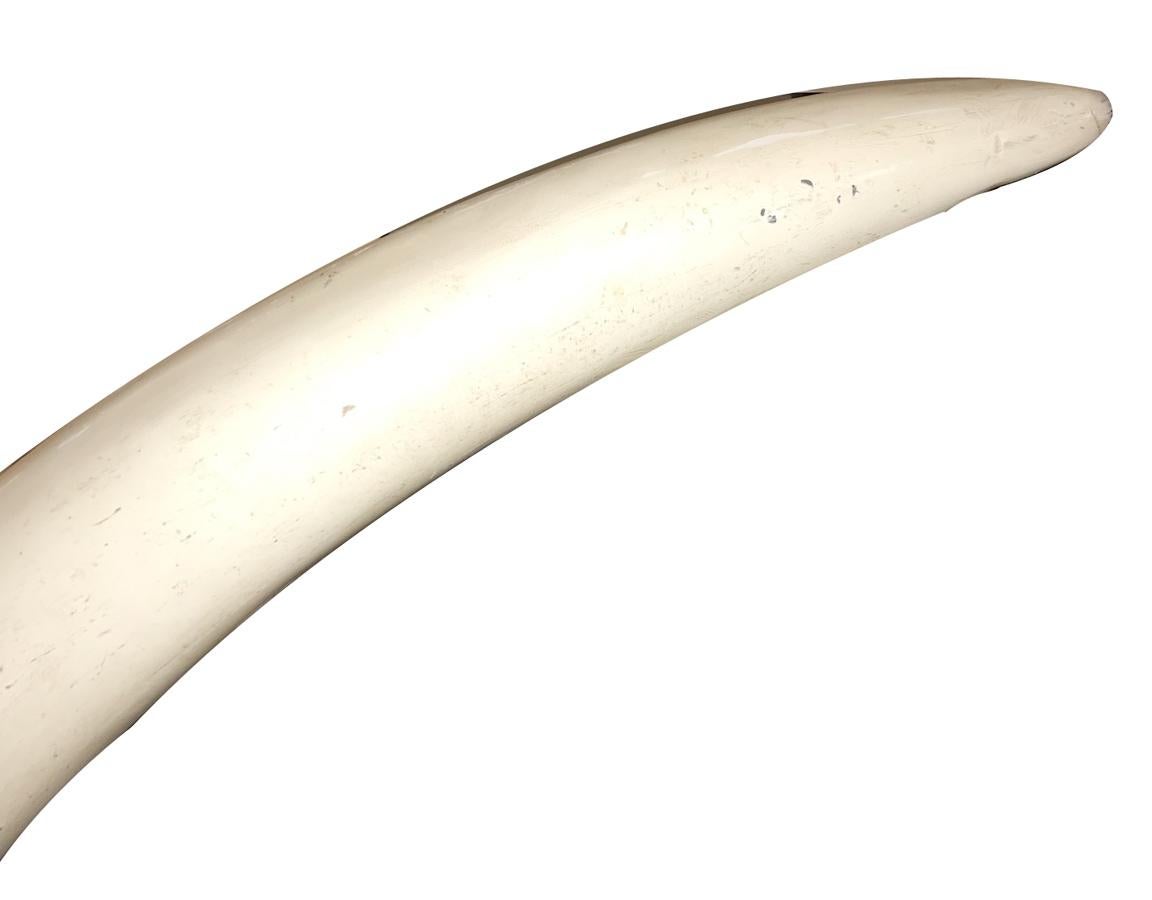 Pair of 1940s carved wood tusks with an original lacquered painted finish.

Measurements:
Height: 67.5?
With: 30?
Depth: 12.5?.