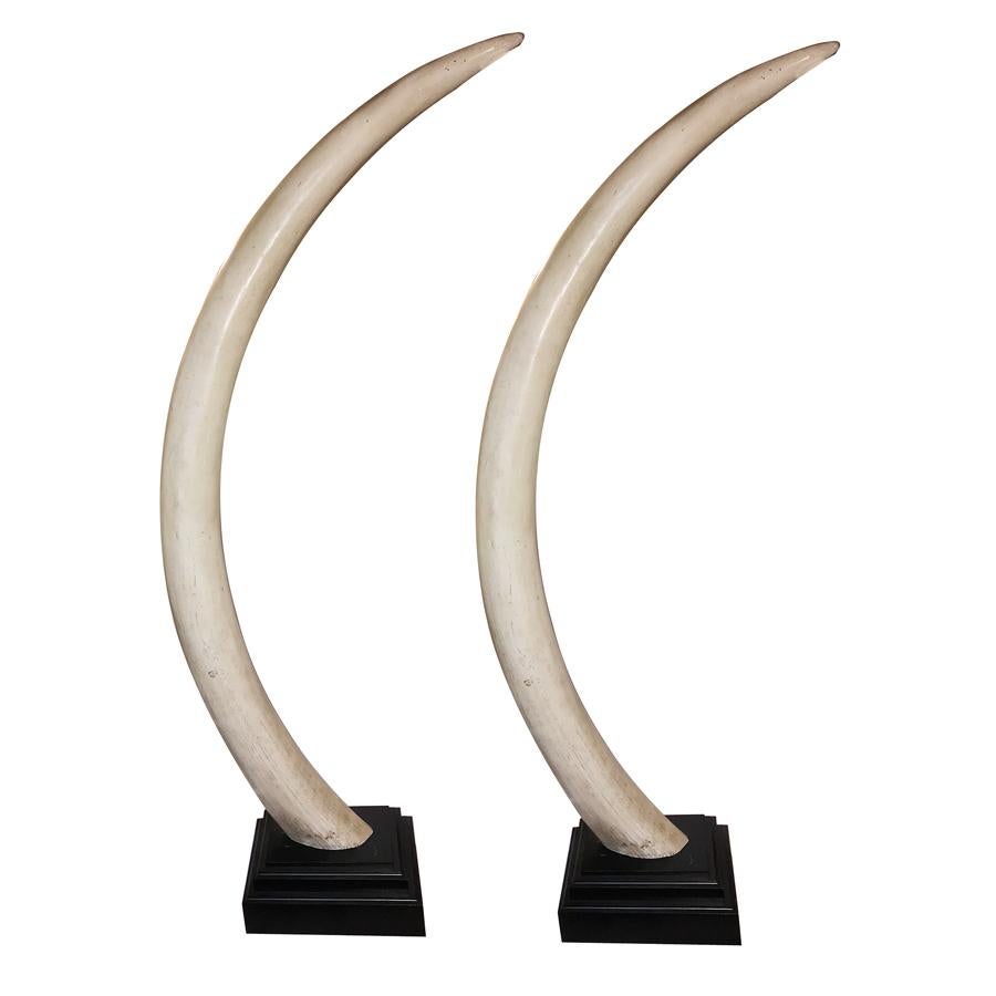 ivory tusks for sale