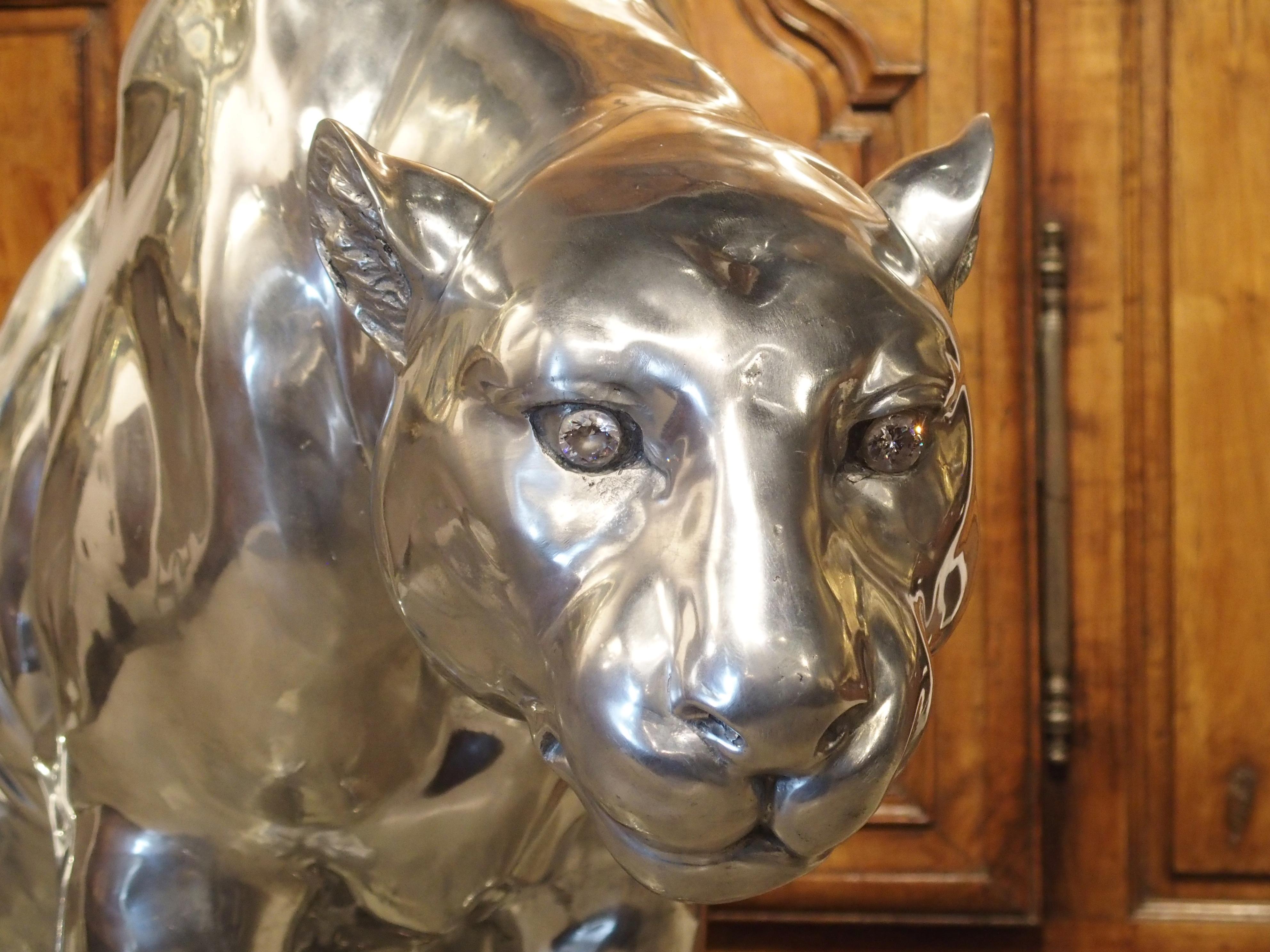 This stunning panther is by the famed French sculptor Christian Maas (b.1951). At 33.5 inches high (to the shoulder), this contemporary masterpiece of sculpture is life-sized, and has perfect proportion. The panther has been cast from aluminum and