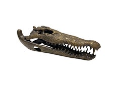 Life Sized Cast Bronze Crocodile Skull Sculpture