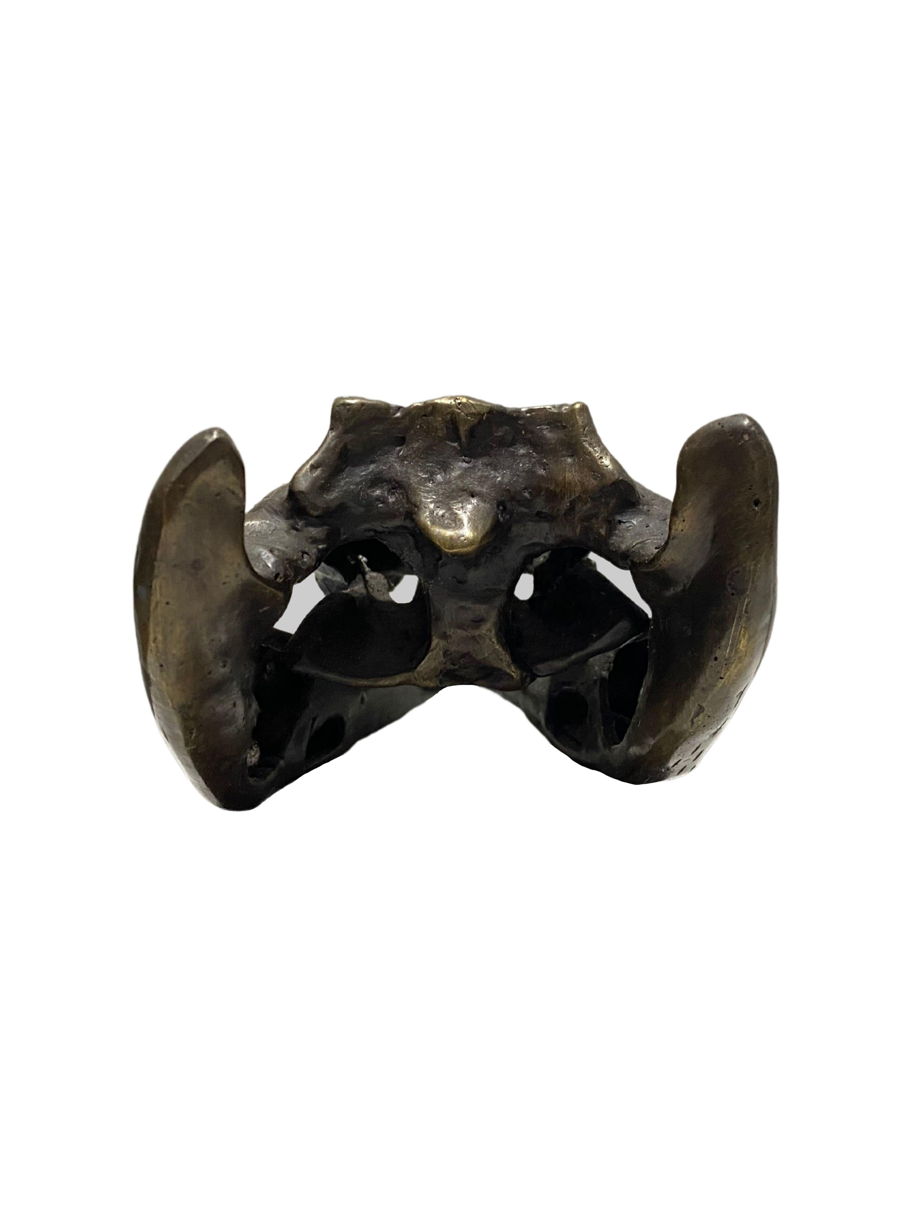 Calco Scultura di teschio di coccodrillo in bronzo fuso a grandezza naturale in vendita