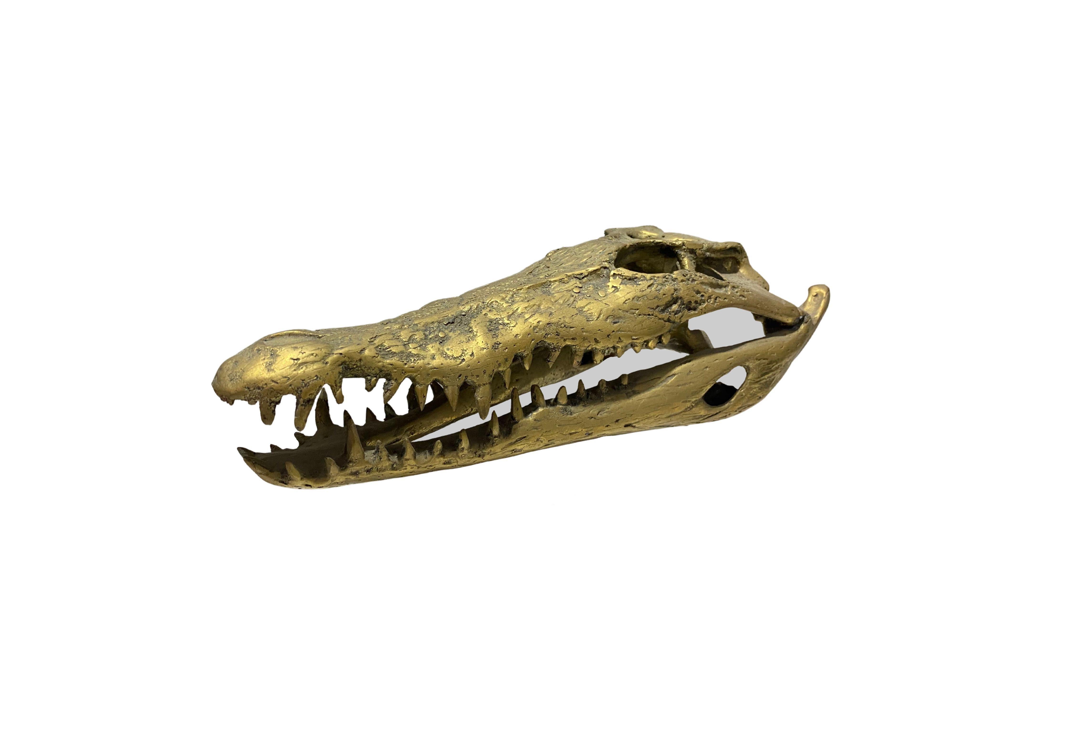 A wonderful example of a hollow-cast bronze crocodile skull. This piece features wonderful detail and resemblance to a real specimen. An exotic piece certain to invoke conversation. Suitable for both indoor or outdoor spaces. To achieve its its gold