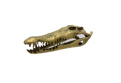 Life Sized Cast Bronze Crocodile Skull Sculpture, Light Finish