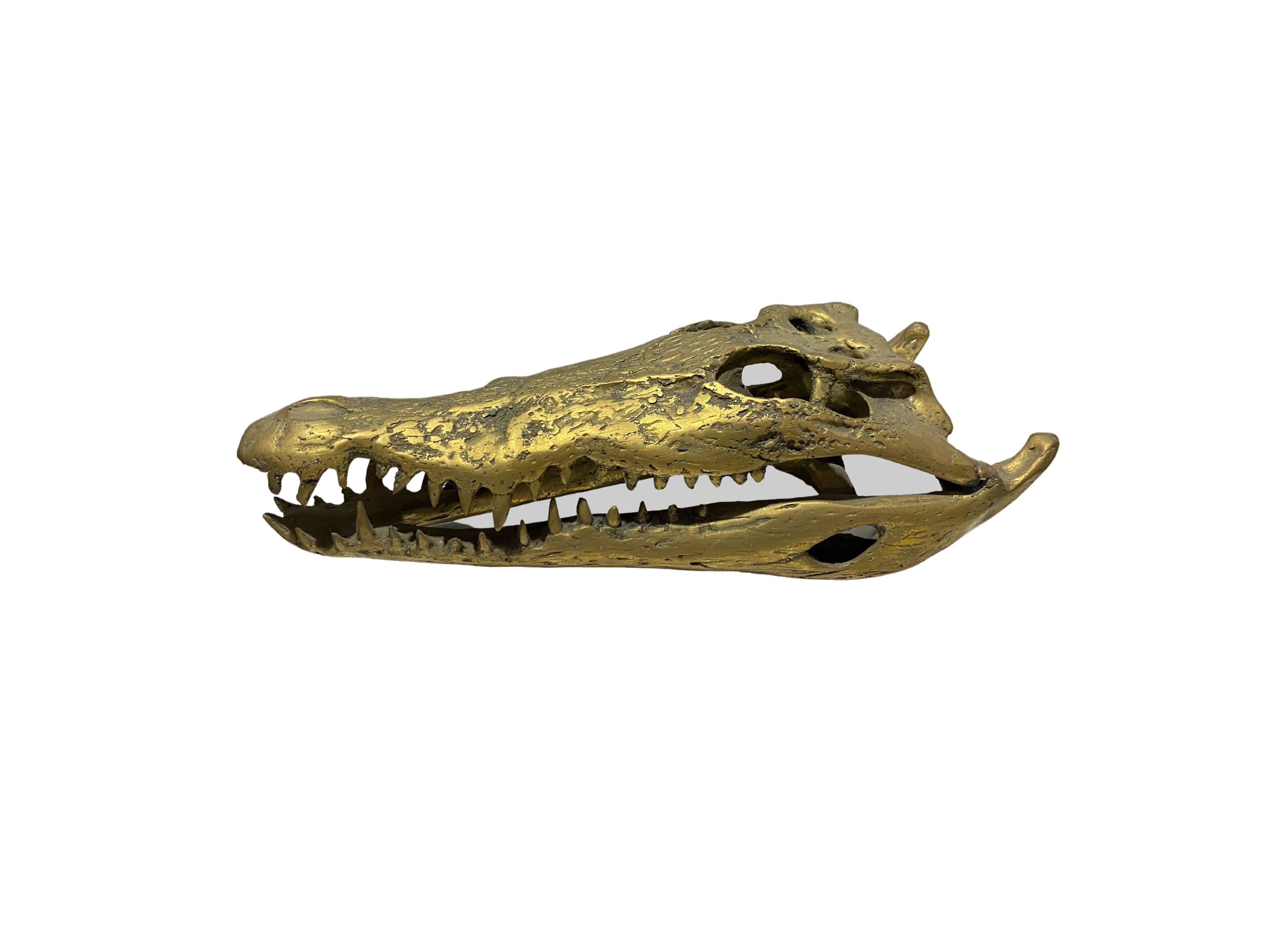 crocodile skull side view