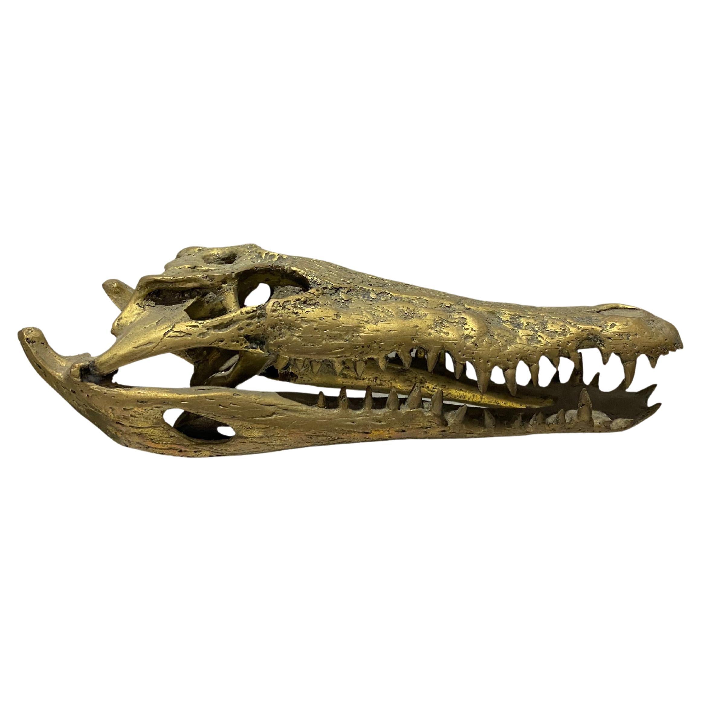 Life Sized Cast Bronze Crocodile Skull Sculpture, Light Finish For Sale