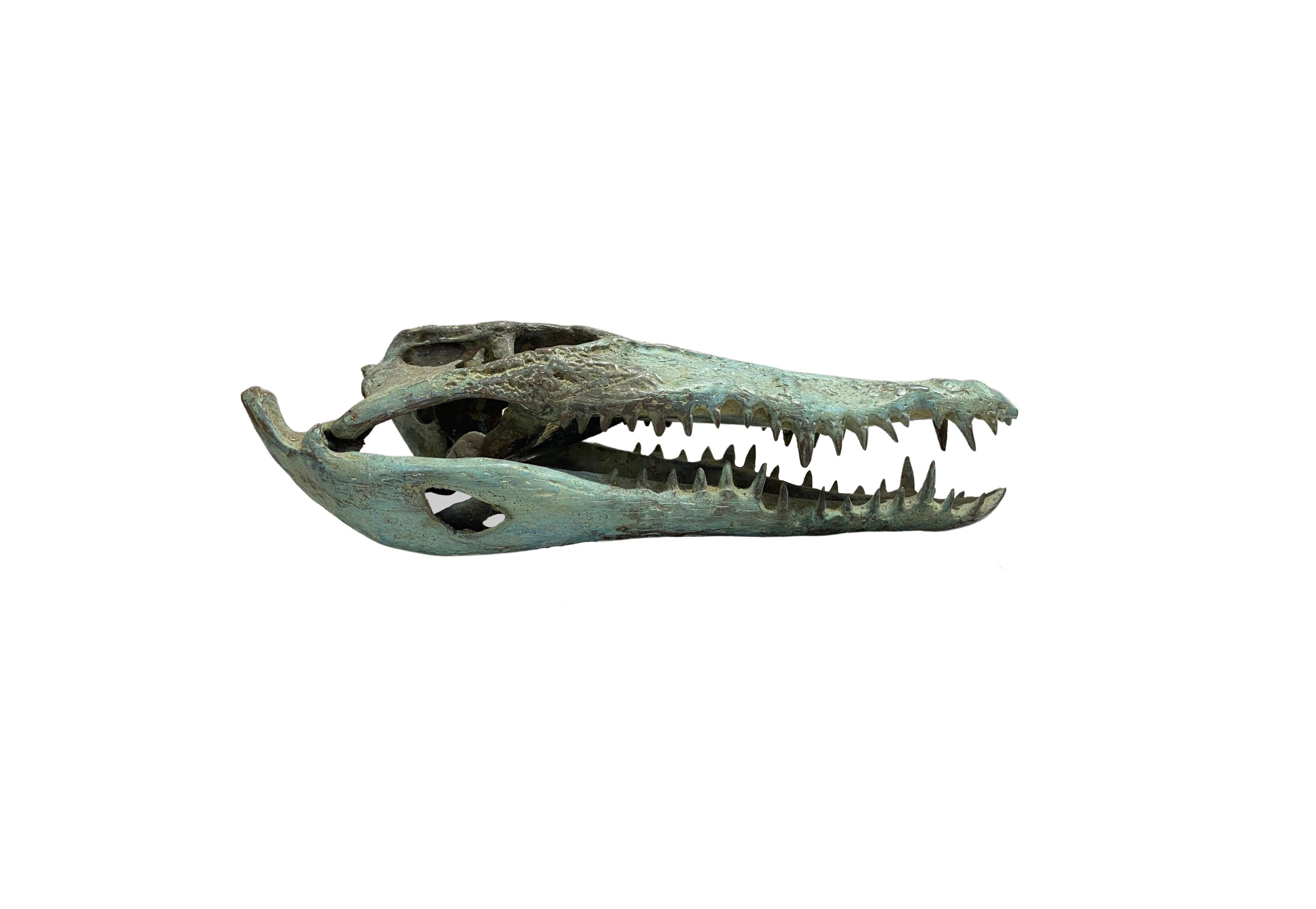 A wonderful example of a hollow-cast bronze crocodile skull. This piece features wonderful detail and resemblance to a real specimen. An exotic piece certain to invoke conversation. Suitable for both indoor or outdoor spaces. To achieve its its