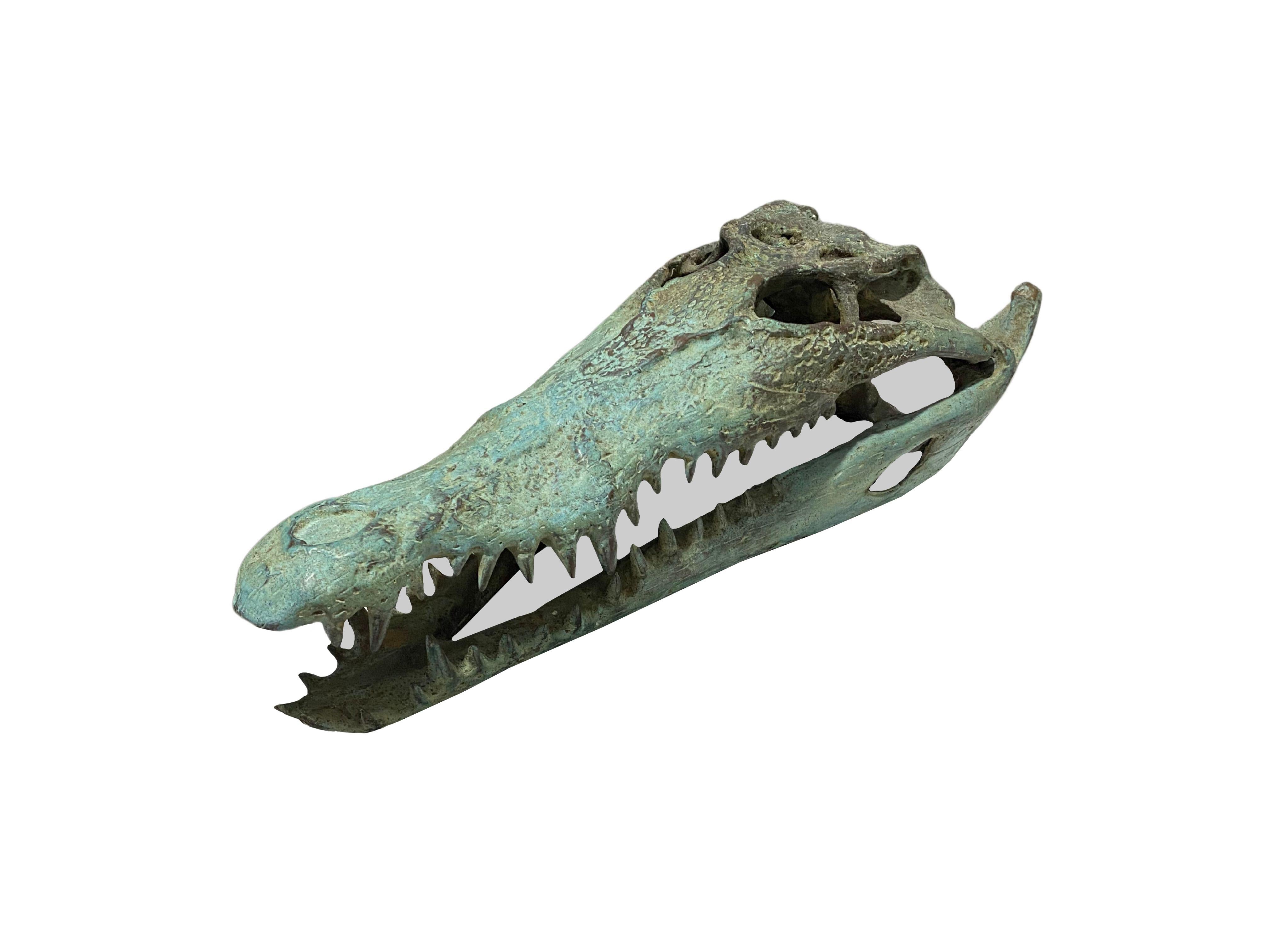 Moderno Scultura di teschio di coccodrillo in bronzo fuso a grandezza naturale, finitura patinata in vendita