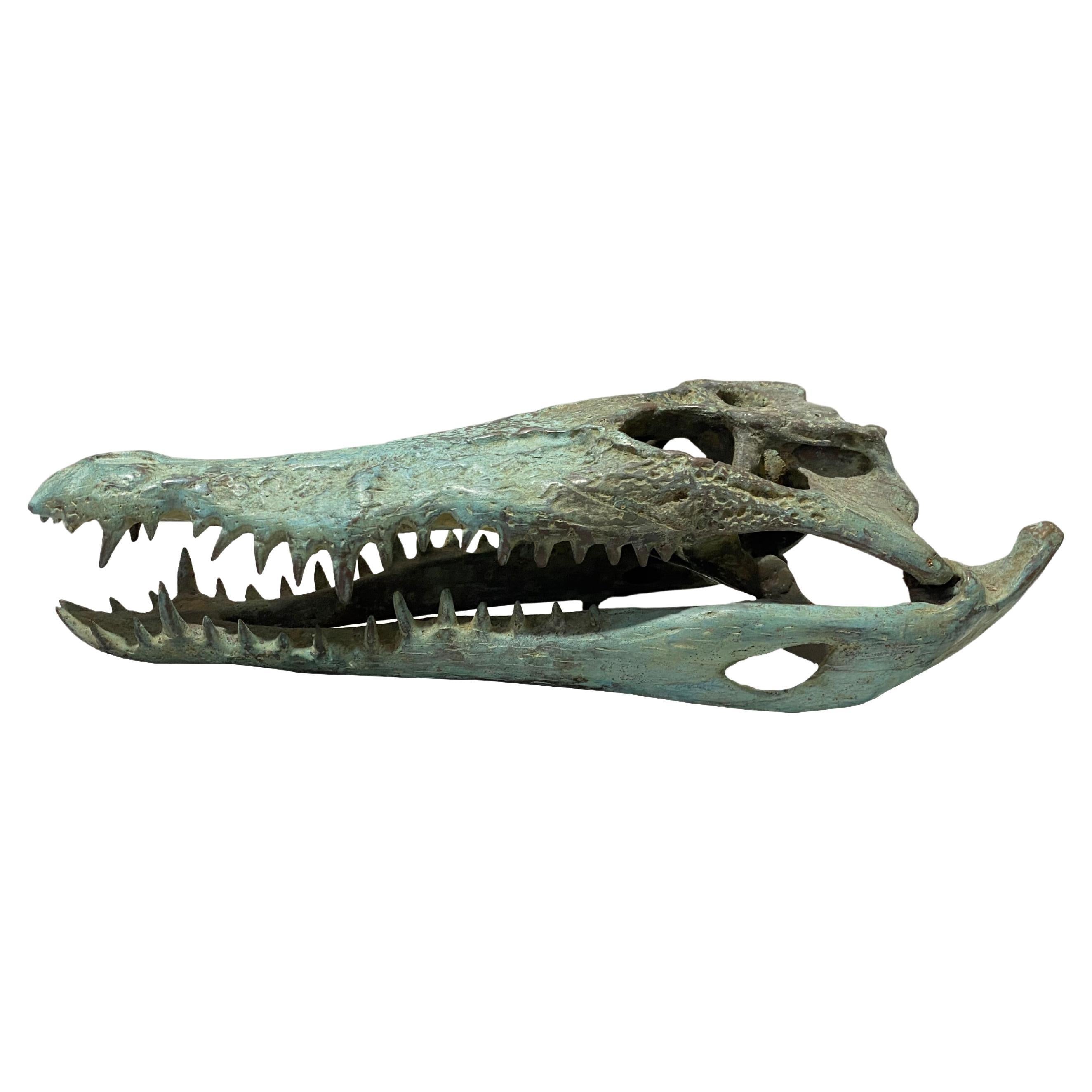 Life Sized Cast Bronze Crocodile Skull Sculpture, Patina Finish