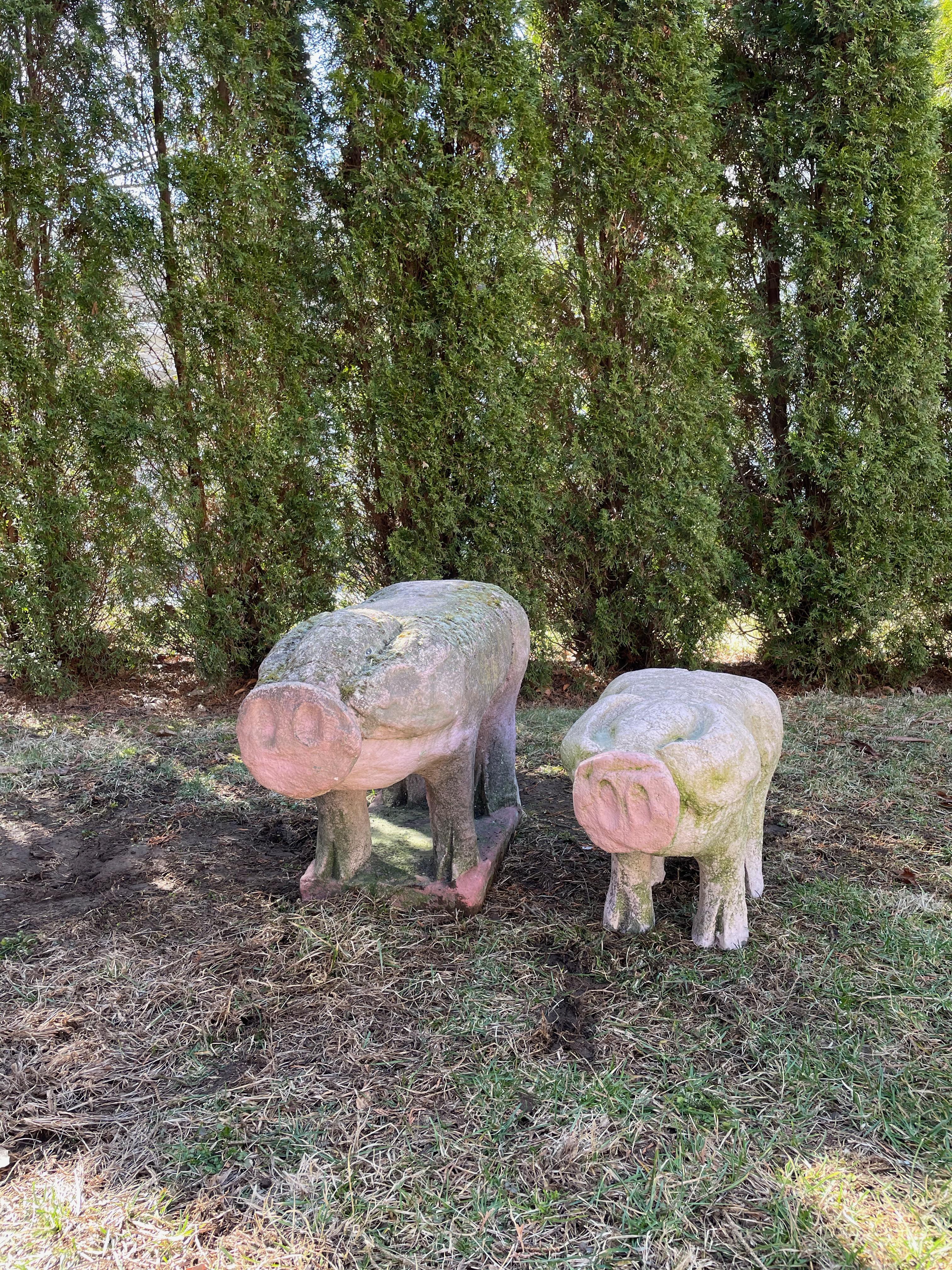 Life-Sized French Cast Stone Pig with Lichen and Moss For Sale 3