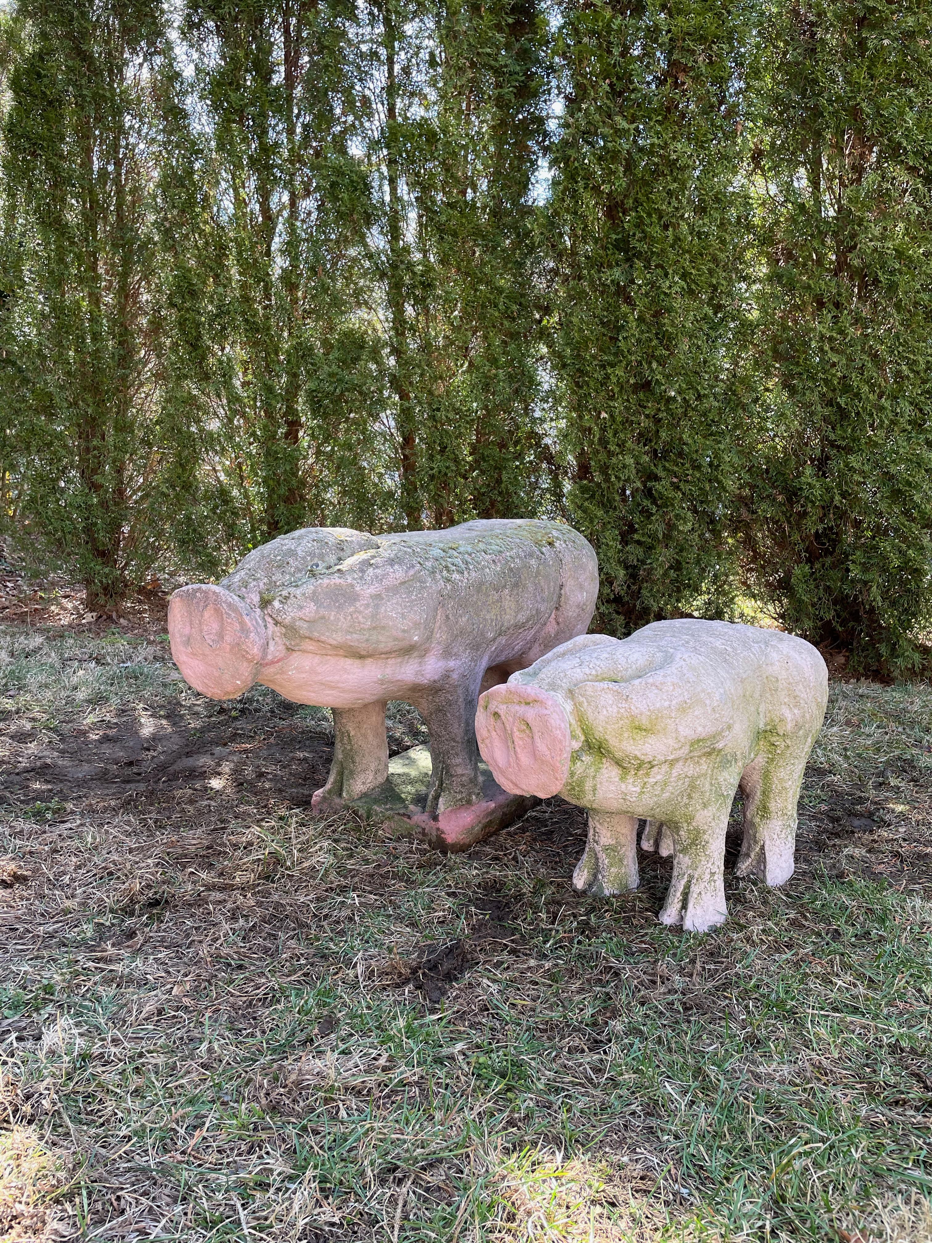 Life-Sized French Cast Stone Pig with Lichen and Moss For Sale 4
