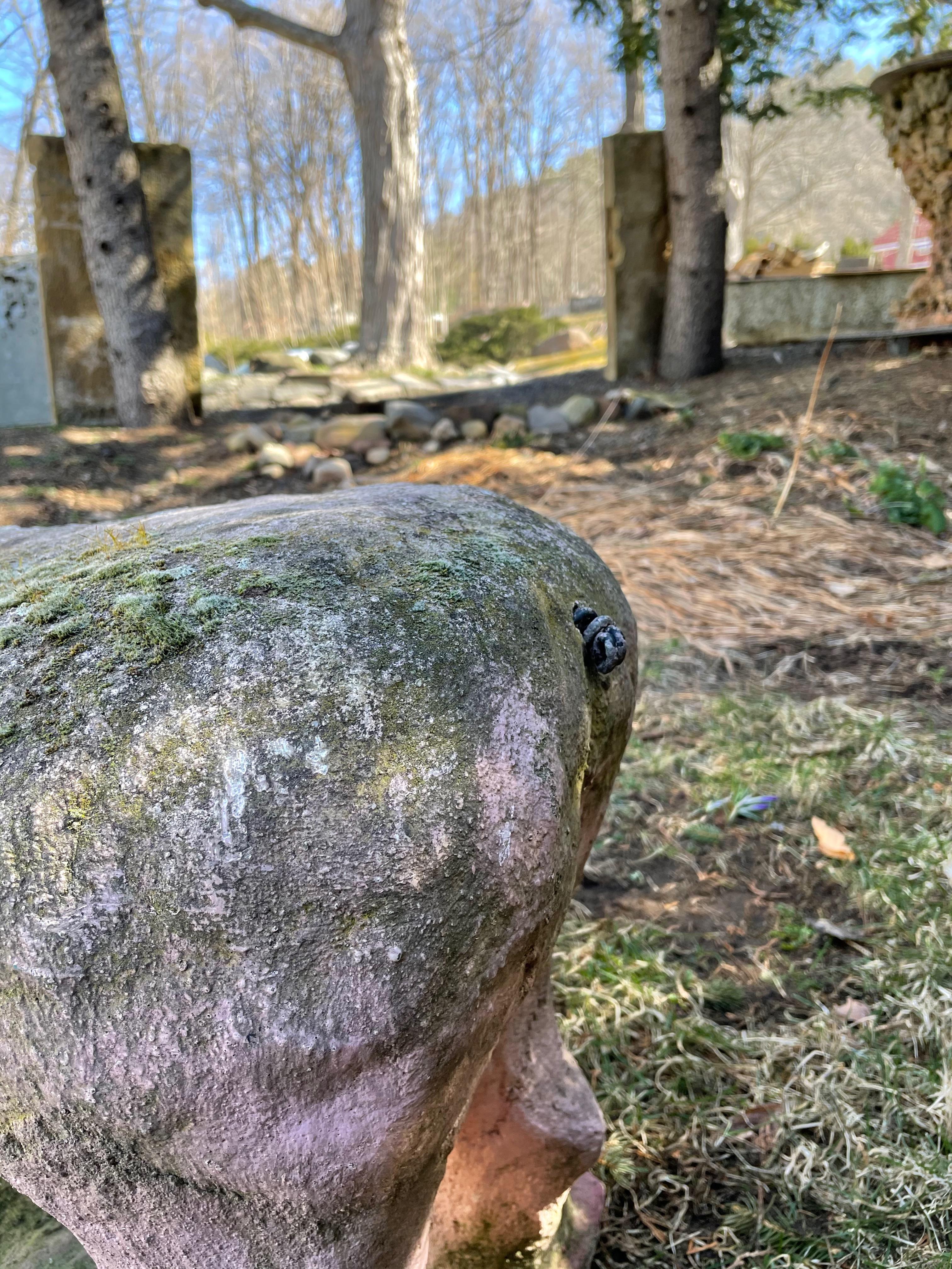 Life-Sized French Cast Stone Pig with Lichen and Moss In Good Condition For Sale In Woodbury, CT