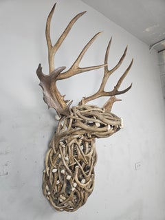 Life Sized Wall Mounted Mule Deer Bust by The Peak Antler