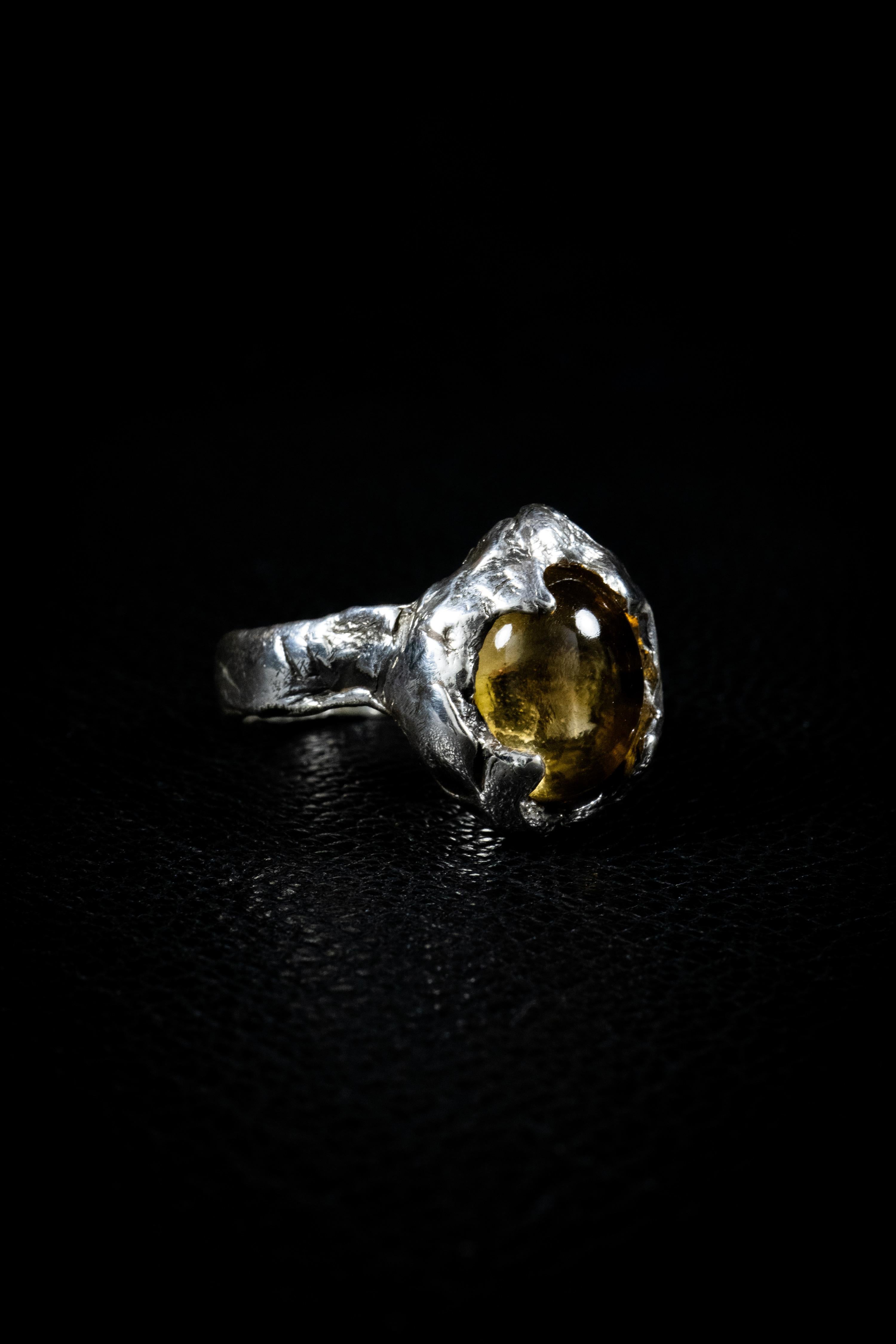 Contemporary Lifecycle (Citrine, Sterling Silver Ring) by Ken Fury  For Sale