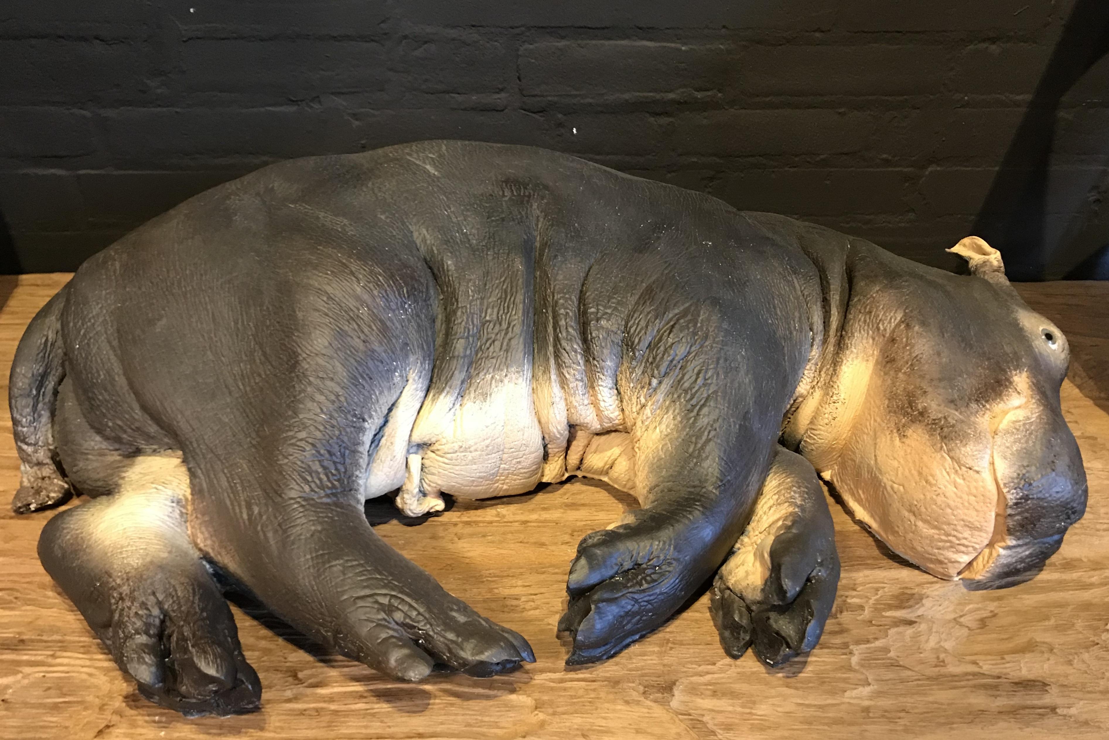 Lifelike replica of a hippo calf. The calf has all the details and can not be distinguished from real.