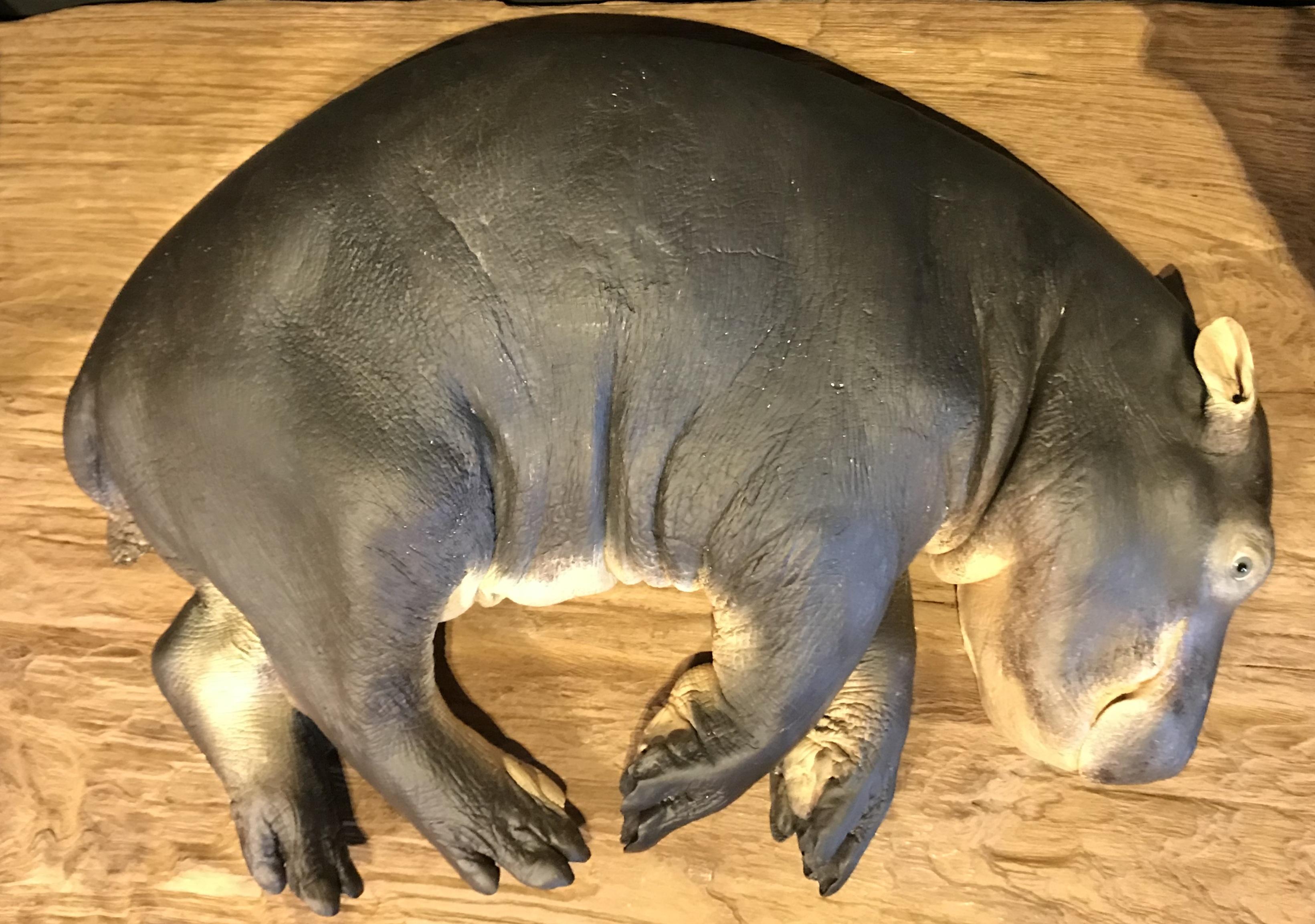 Eine phantasievolle Nachbildung eines Hippo-Kalbs (Europäisch) im Angebot
