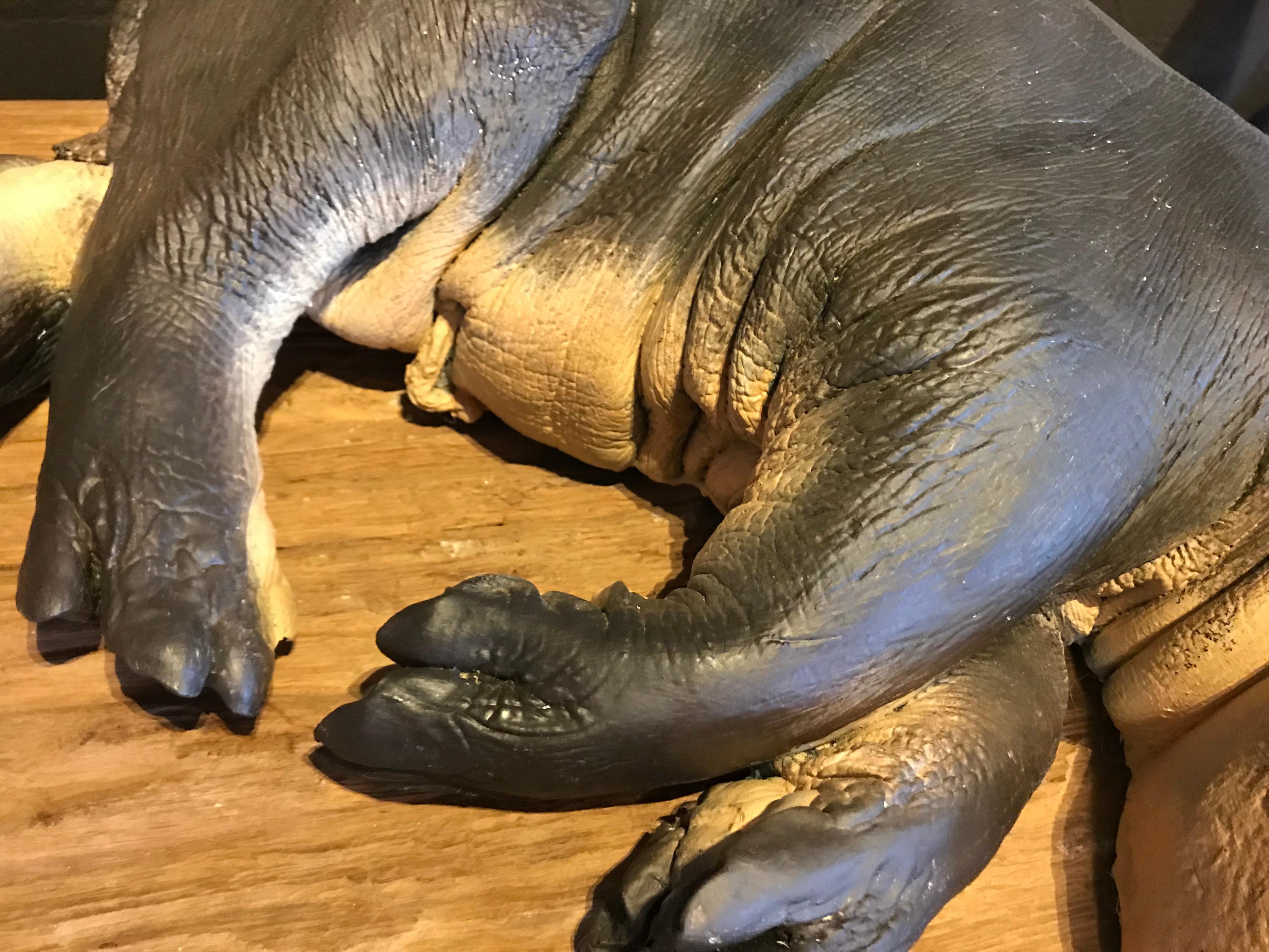 Lifelike Replica of a Hippo Calf In Excellent Condition For Sale In Eindhoven, NL