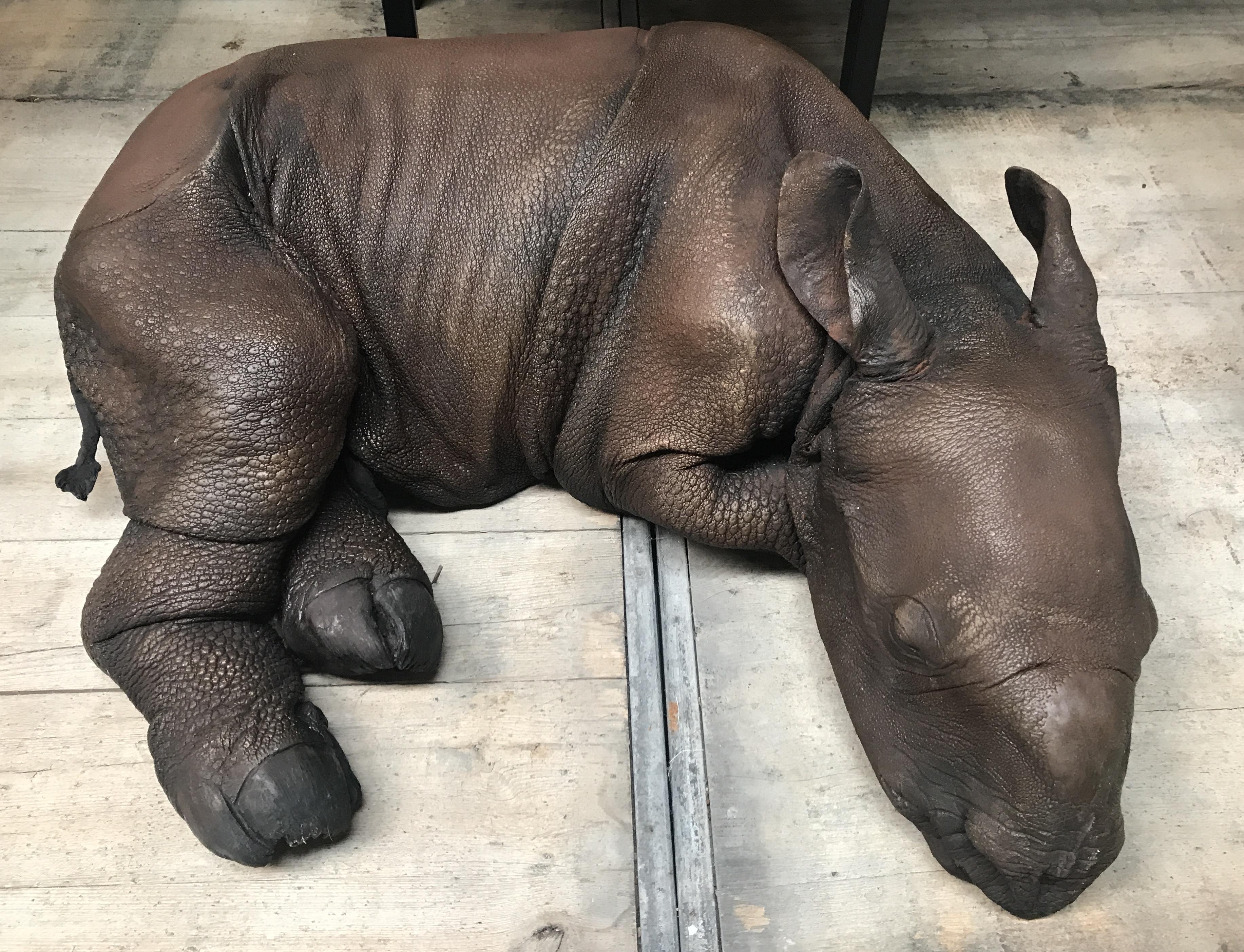 Lifelike replica of a rhino calf. The calf has all the details and can not be distinguished from real.