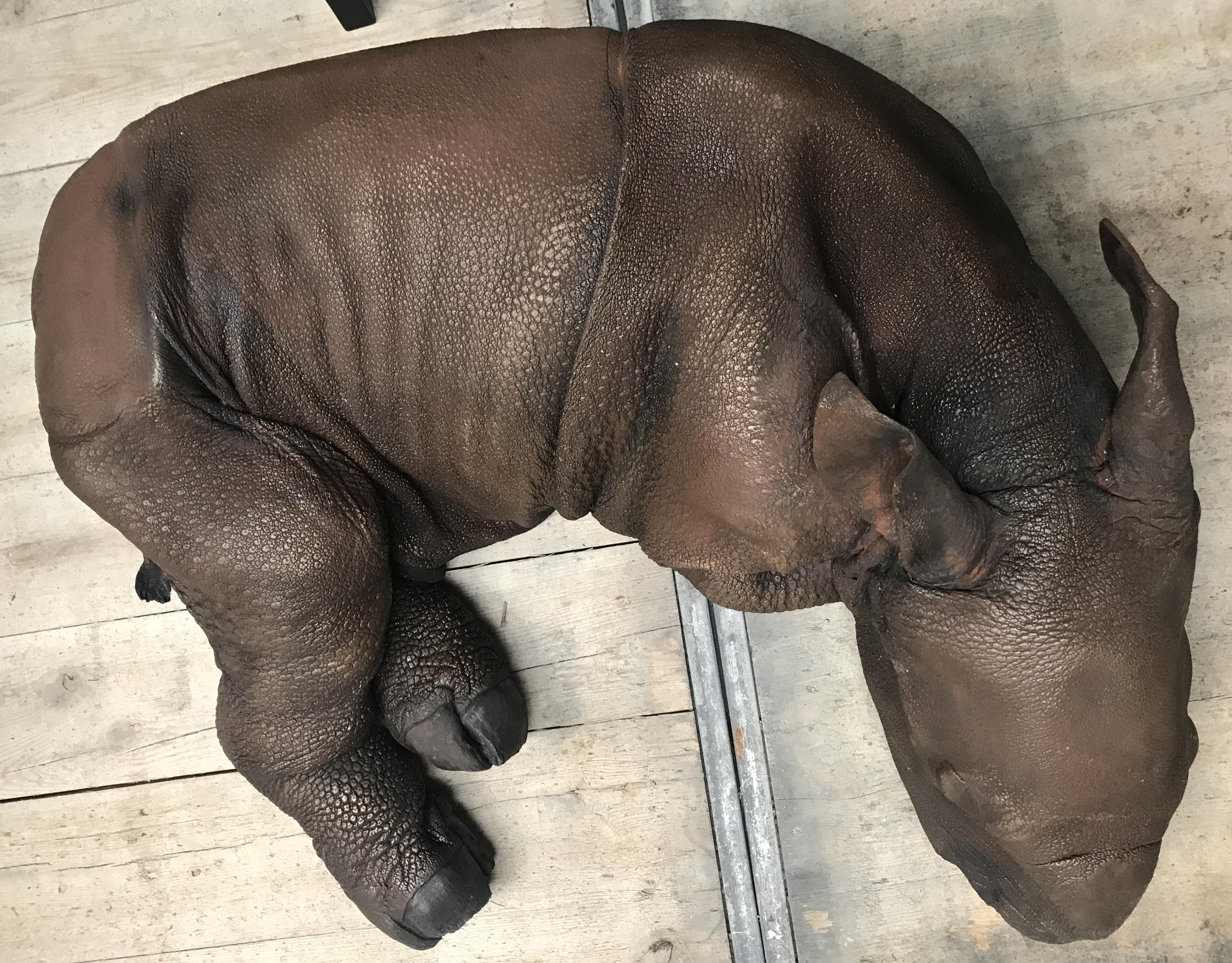 Skulpturale Nachbildung eines Rhino-Kalbs im Angebot 1