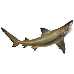 Lifelike Replica of a Small Shark