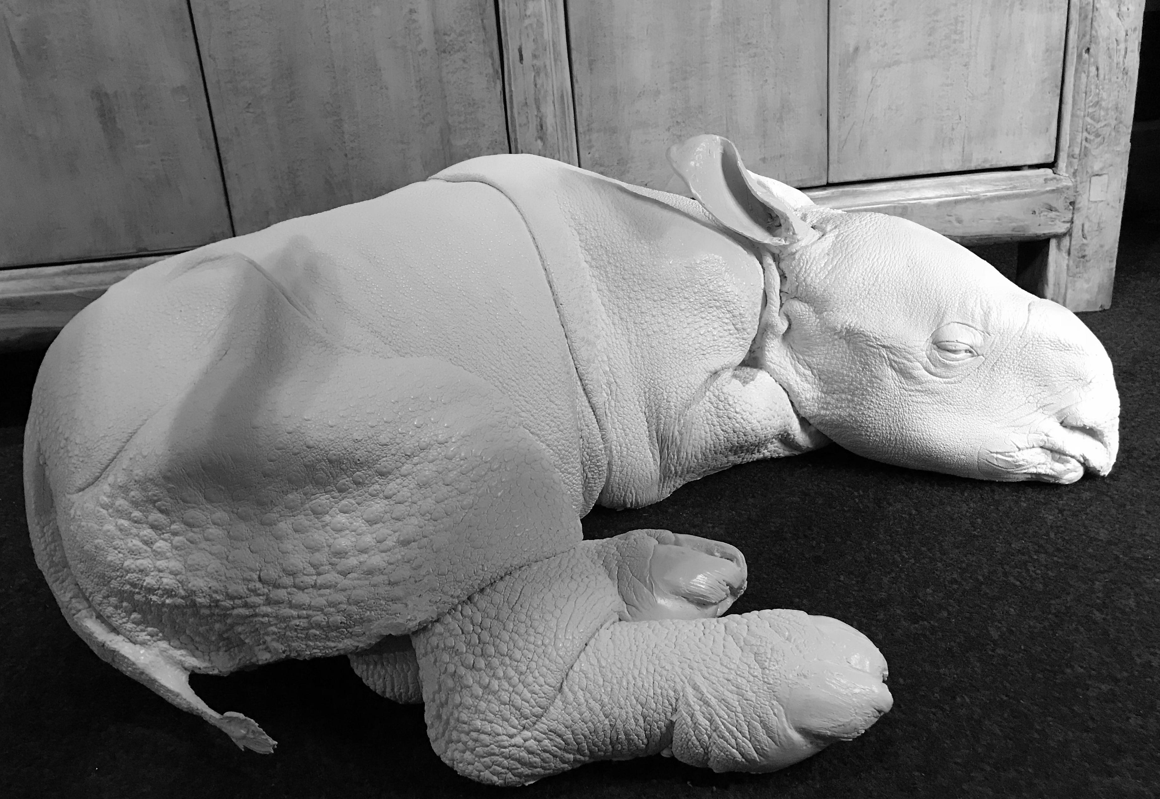 Contemporary Lifelike White Replica of a Rhino Calf For Sale