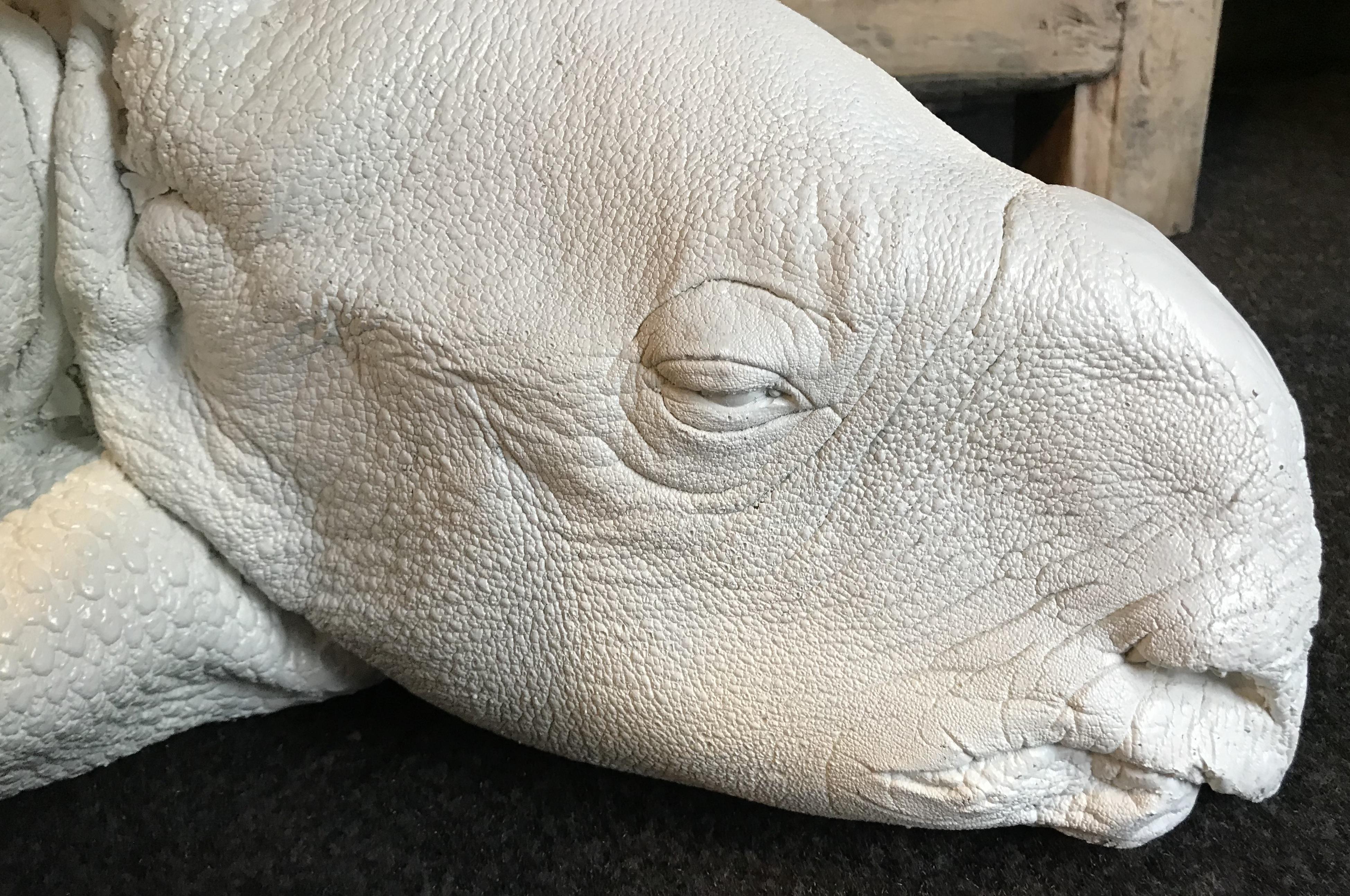 Polyester Lifelike White Replica of a Rhino Calf For Sale