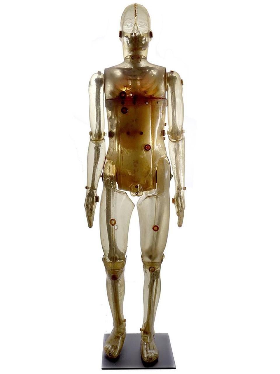 Industrial Lifesize Articulating X-Ray Dummy, Cold War Icon