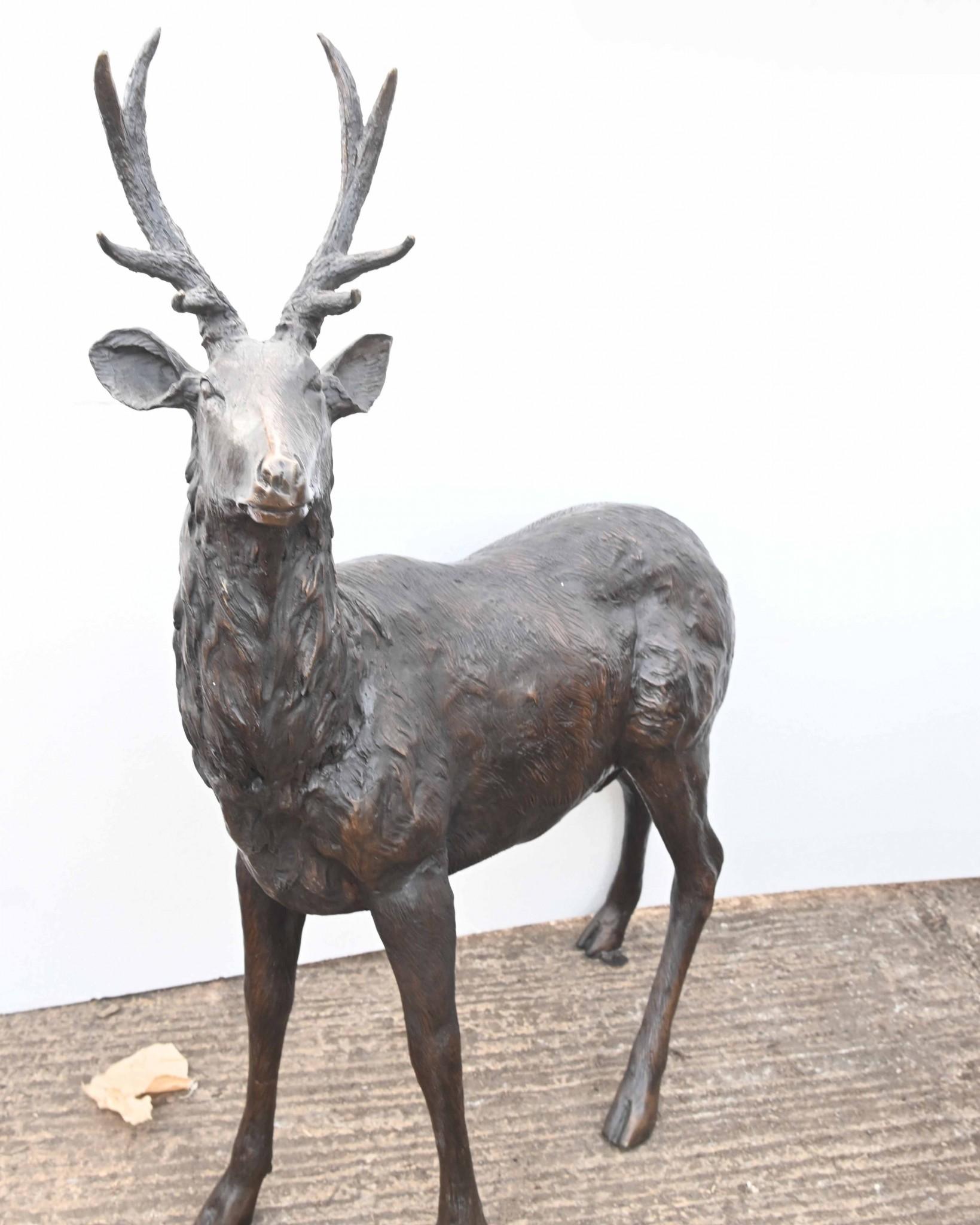 Lifesize Bronze Deer Family Fawn Roe Buck Garden Casting 7