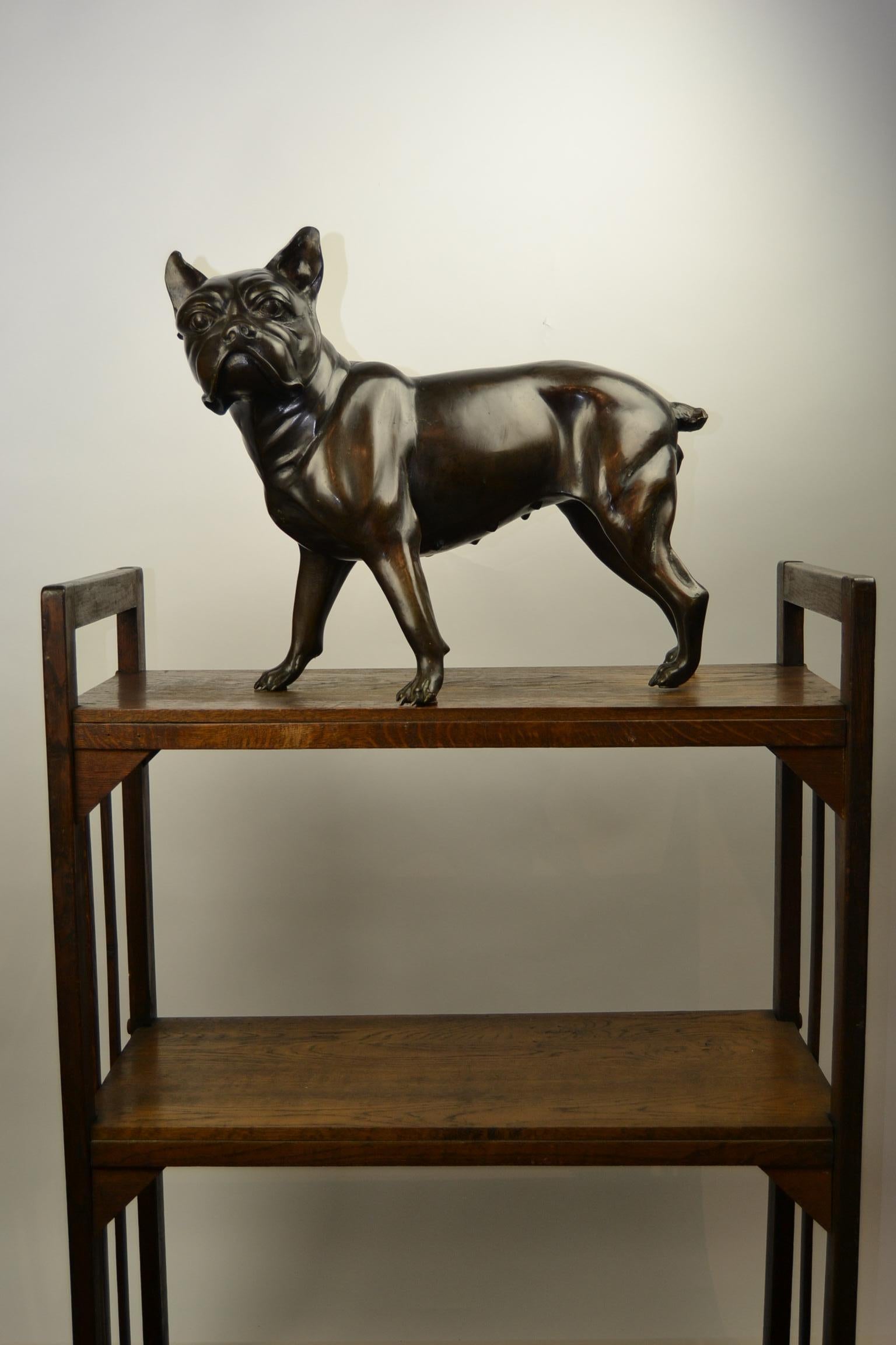 Französische Bulldogge in Lebensgröße aus Bronze, Statue eines Bostoner Terriers 5