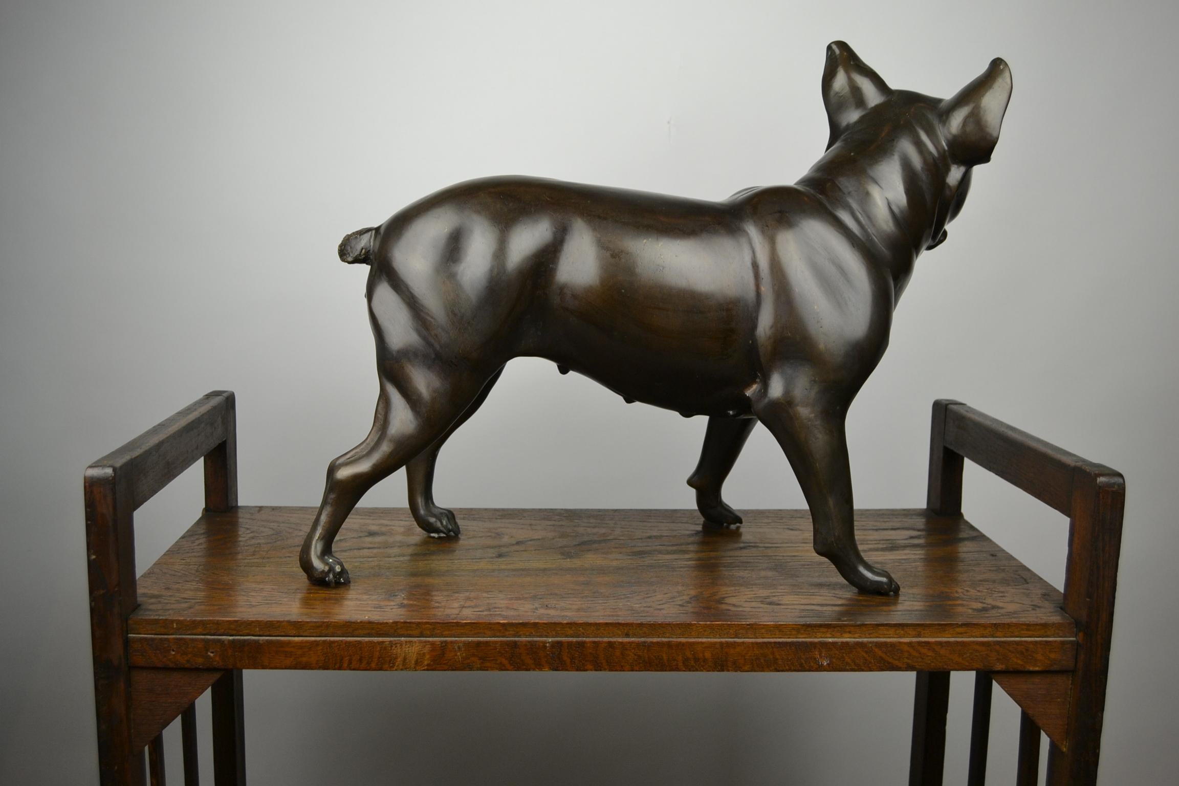 Französische Bulldogge in Lebensgröße aus Bronze, Statue eines Bostoner Terriers 8