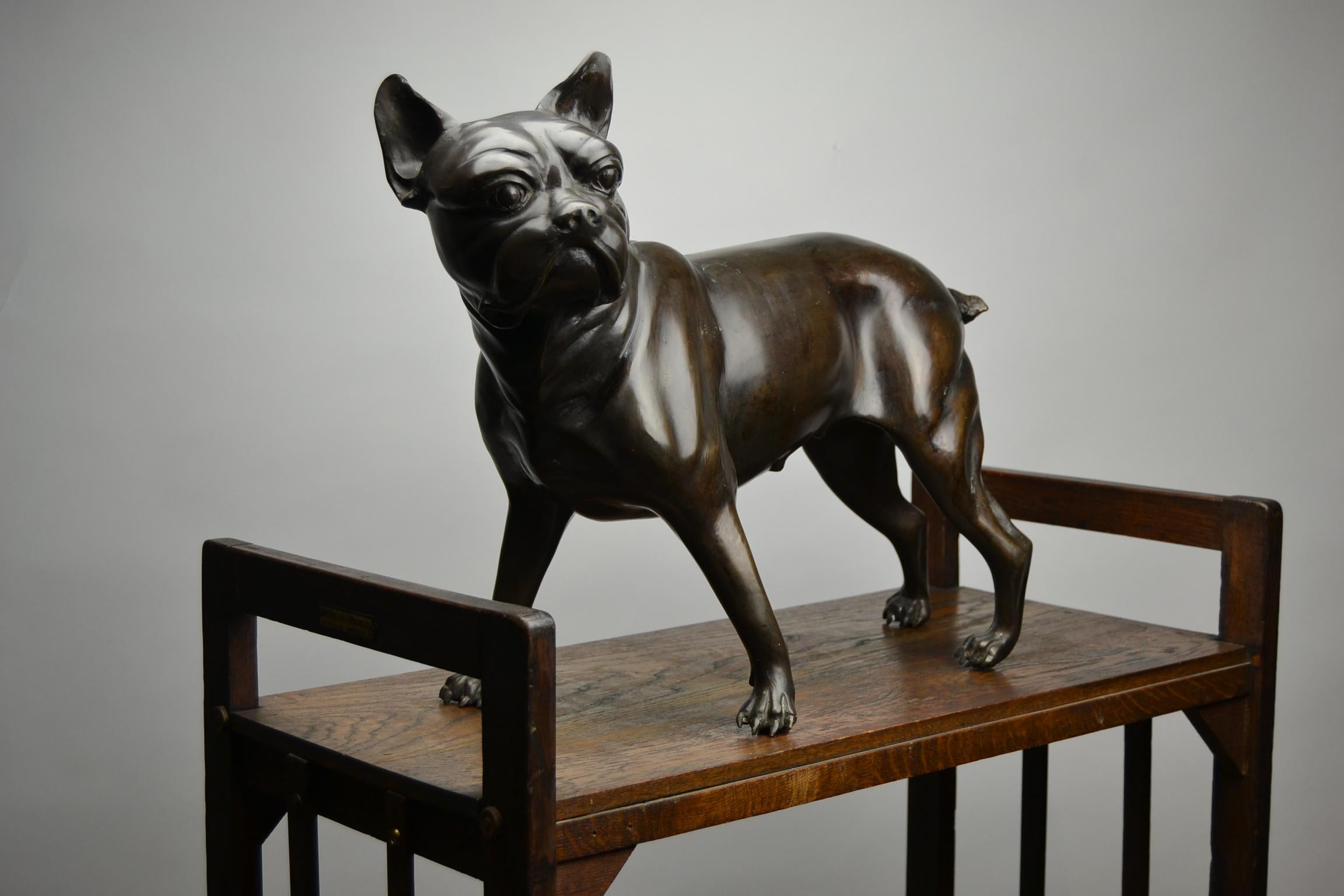 Französische Bulldogge in Lebensgröße aus Bronze, Statue eines Bostoner Terriers 9