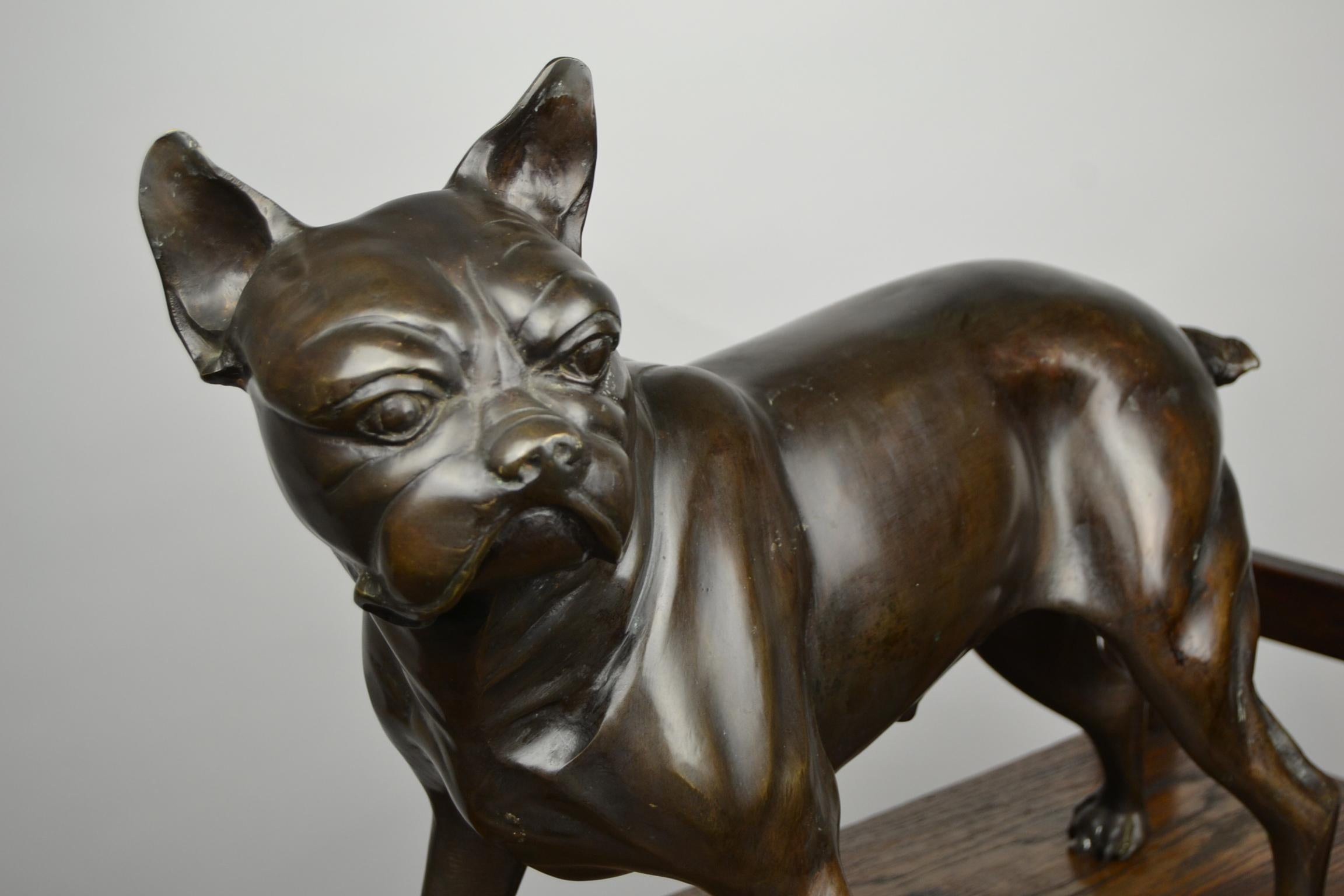 Französische Bulldogge in Lebensgröße aus Bronze, Statue eines Bostoner Terriers 11