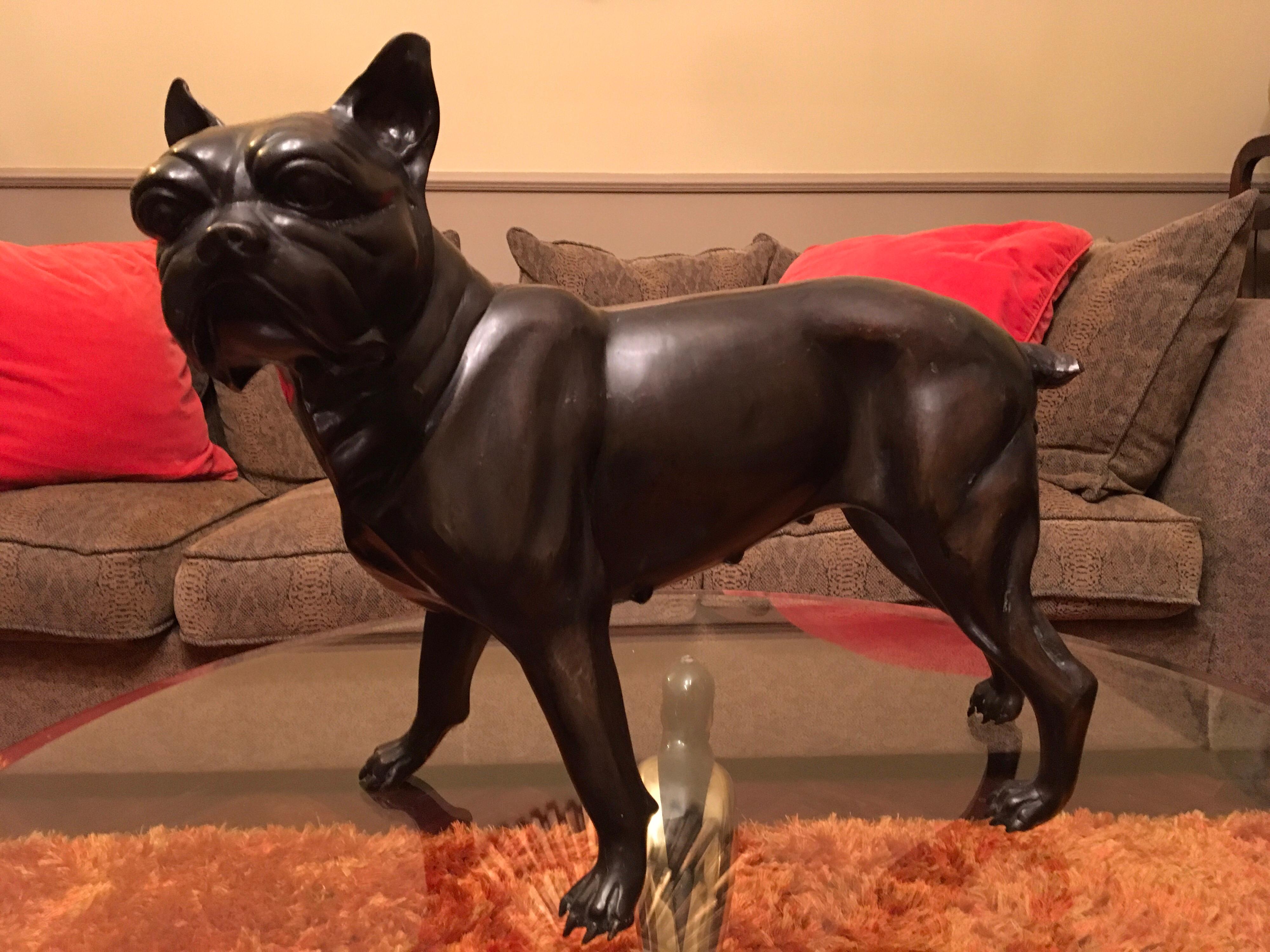 Französische Bulldogge in Lebensgröße aus Bronze, Statue eines Bostoner Terriers 13