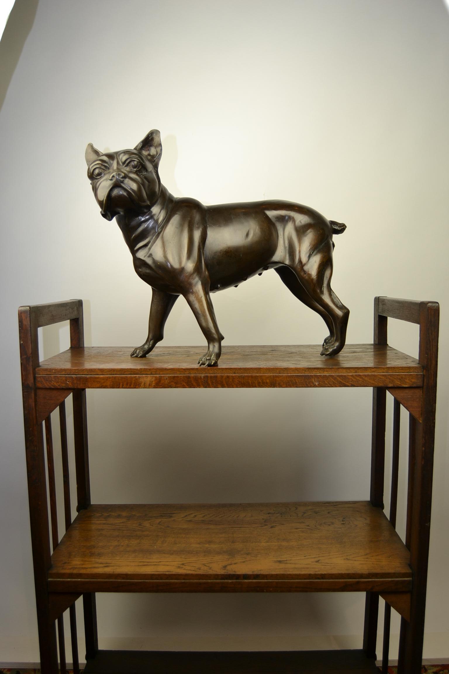 Lebensgroße Vintage-Bronze-Tier-Statue, Hundestatue .
Detaillierte Figur einer französischen Bulldogge - Boston Terrier.
Großartiger Wohnakzent - Objekt für die Inneneinrichtung.