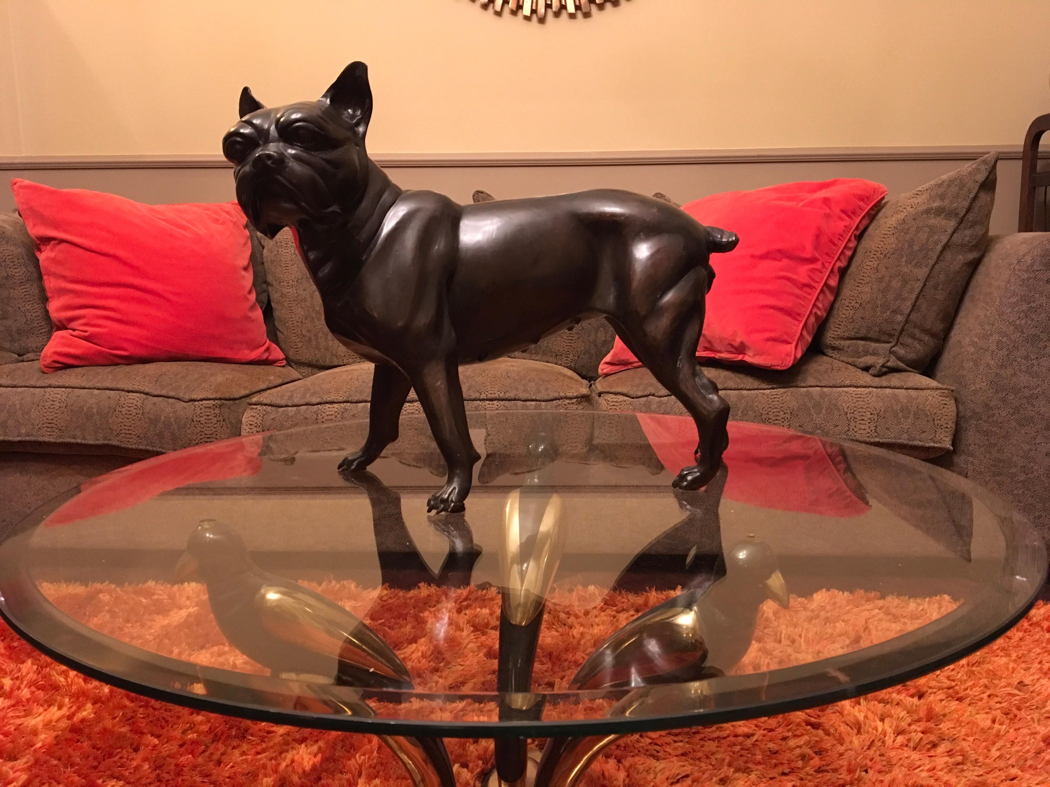 Französische Bulldogge in Lebensgröße aus Bronze, Statue eines Bostoner Terriers (Moderne)