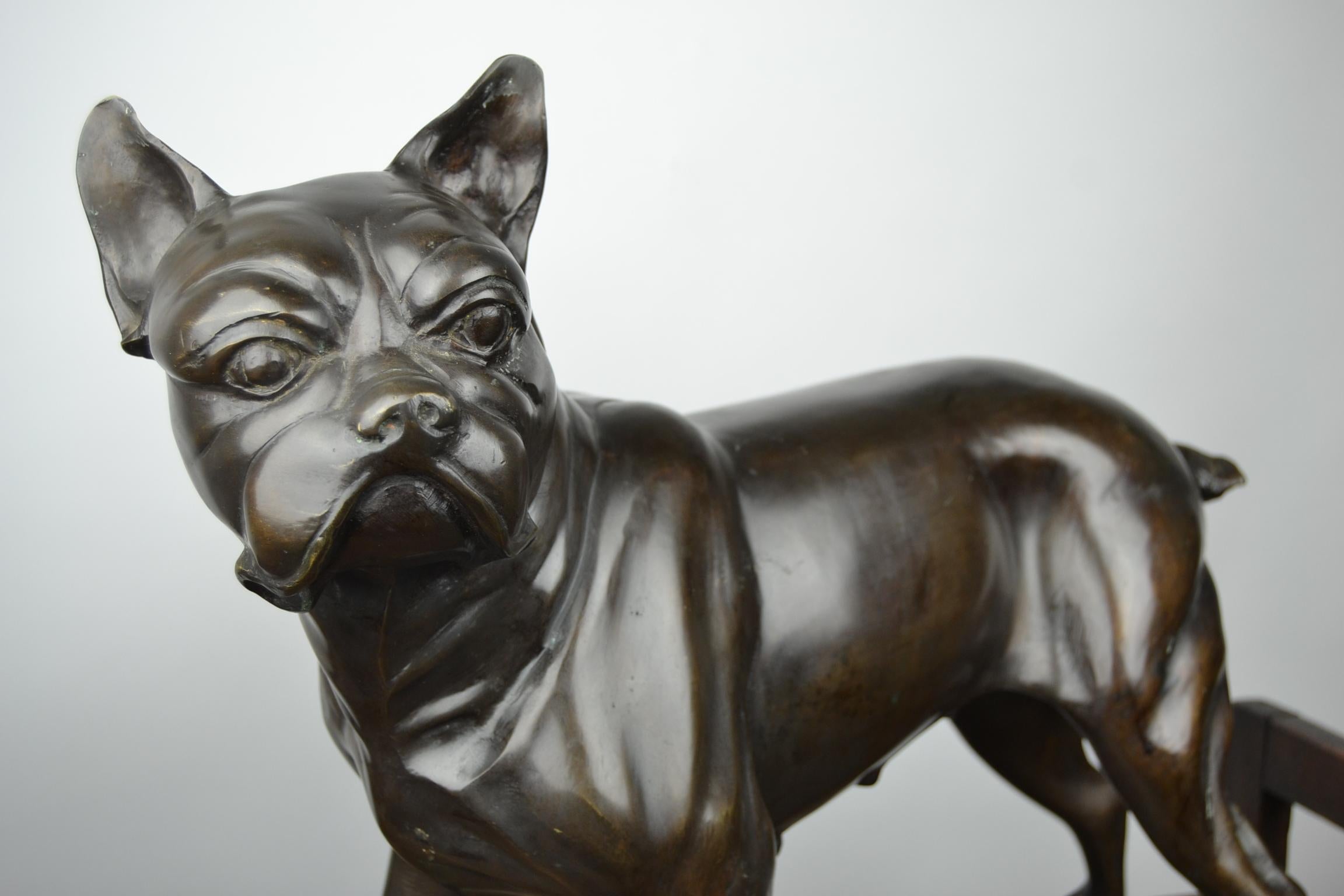 Französische Bulldogge in Lebensgröße aus Bronze, Statue eines Bostoner Terriers im Zustand „Gut“ in Antwerp, BE