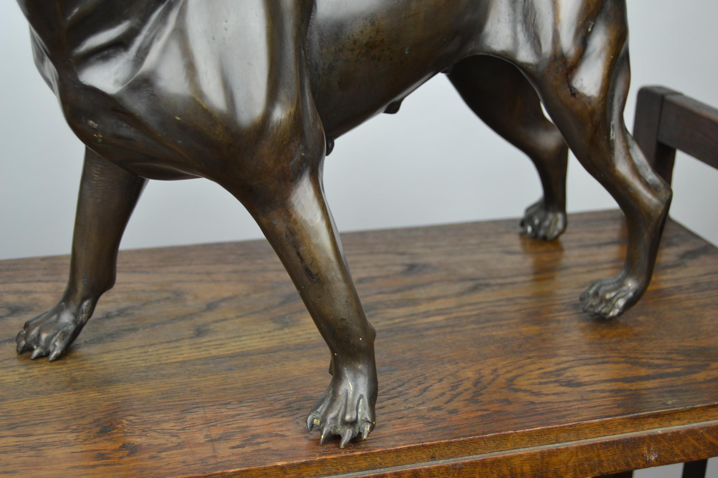 Französische Bulldogge in Lebensgröße aus Bronze, Statue eines Bostoner Terriers (20. Jahrhundert)