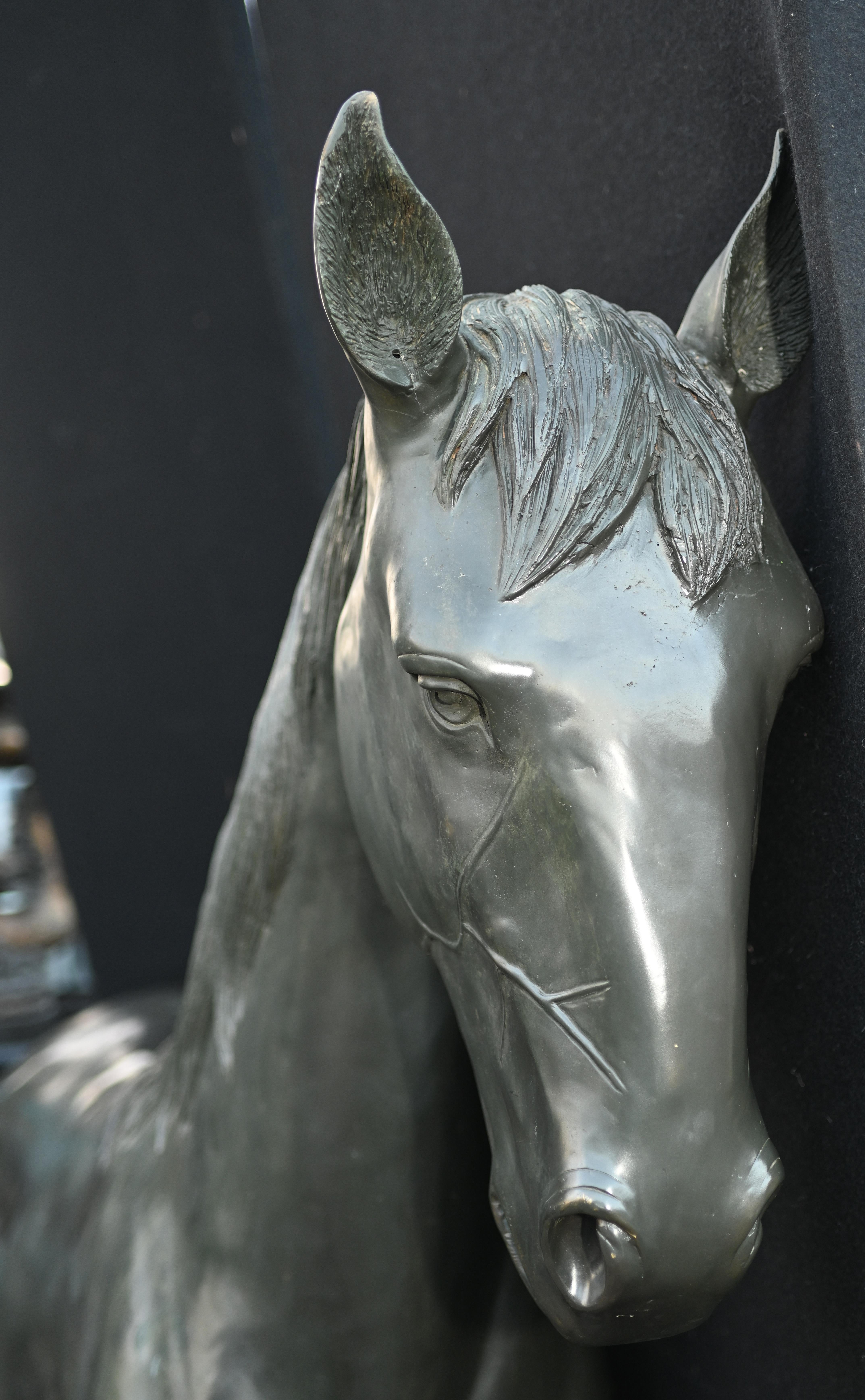 Statue de cheval grandeur nature en bronze, sculpture de jardin équestre en vente 7