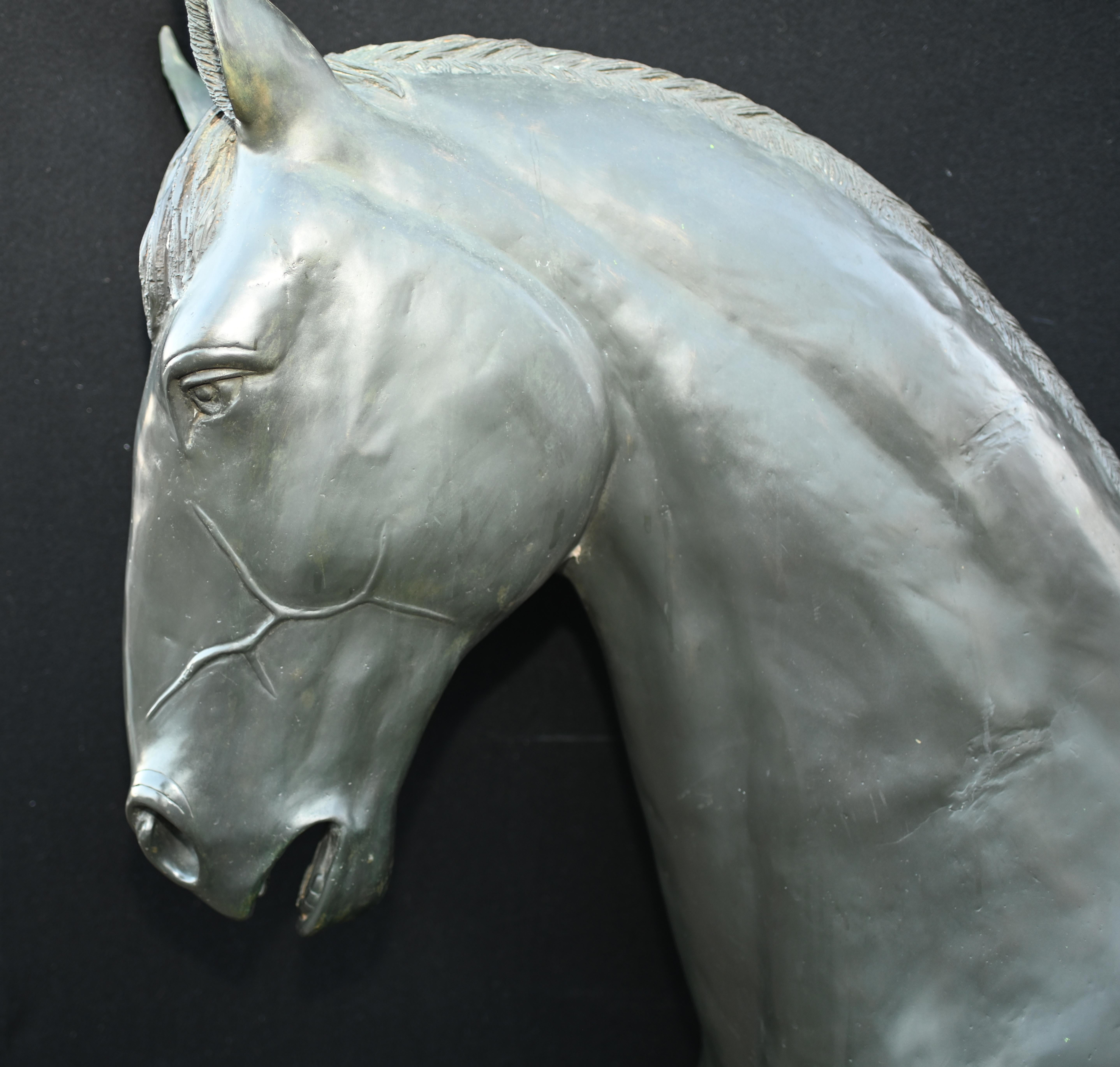 Wonderful bronze horse that stands in at almost seven feet tall - 203 cm.
Great casting, of course being bronze could live outside with no fear or rusting hence great for a garden
Look at how the artist has rendered details like the