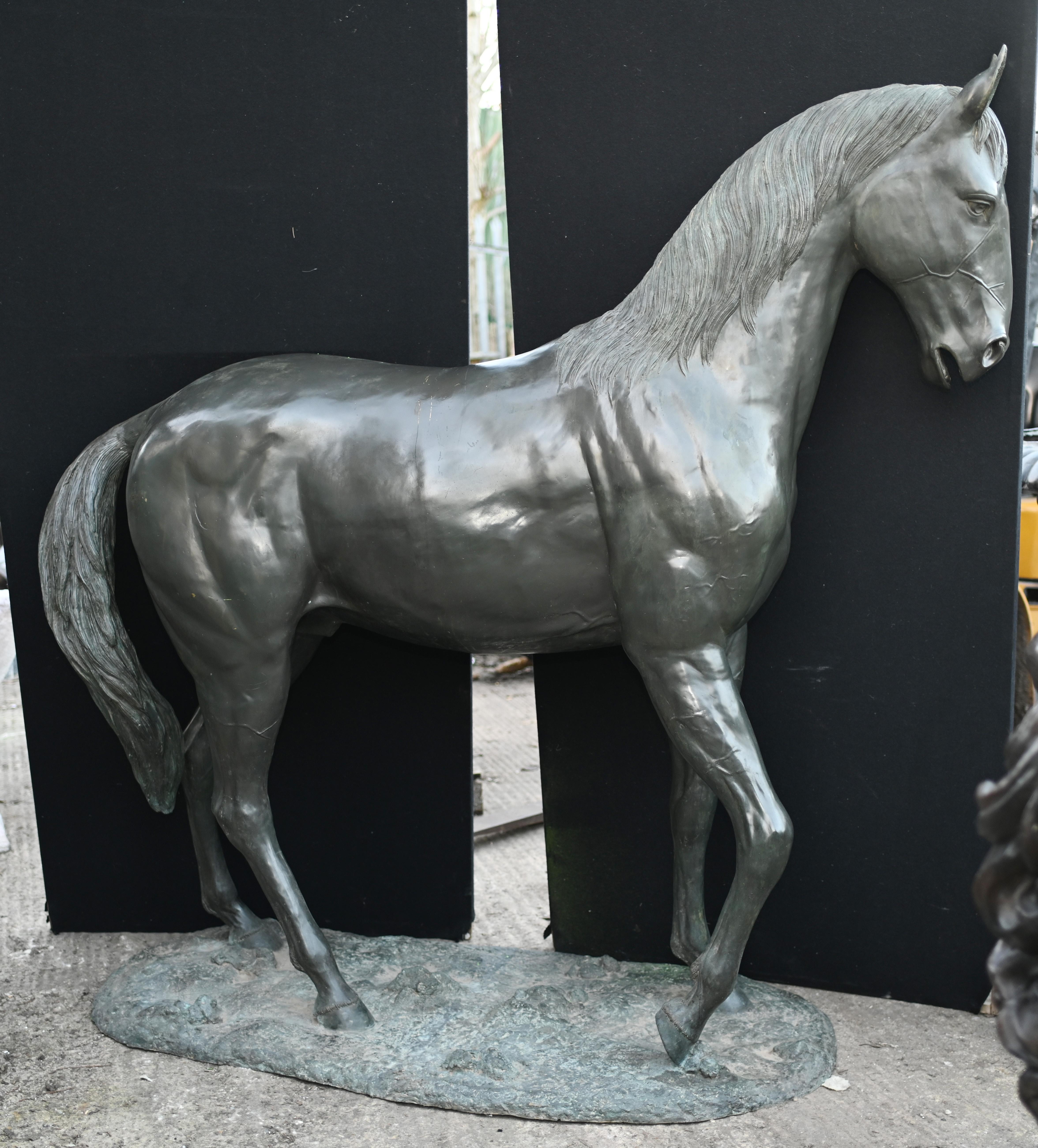 Statue de cheval grandeur nature en bronze, sculpture de jardin équestre en vente 3