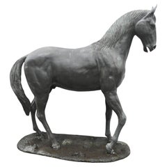 Lifesize Bronze Horse Statue Garden Equestrian Sculpture