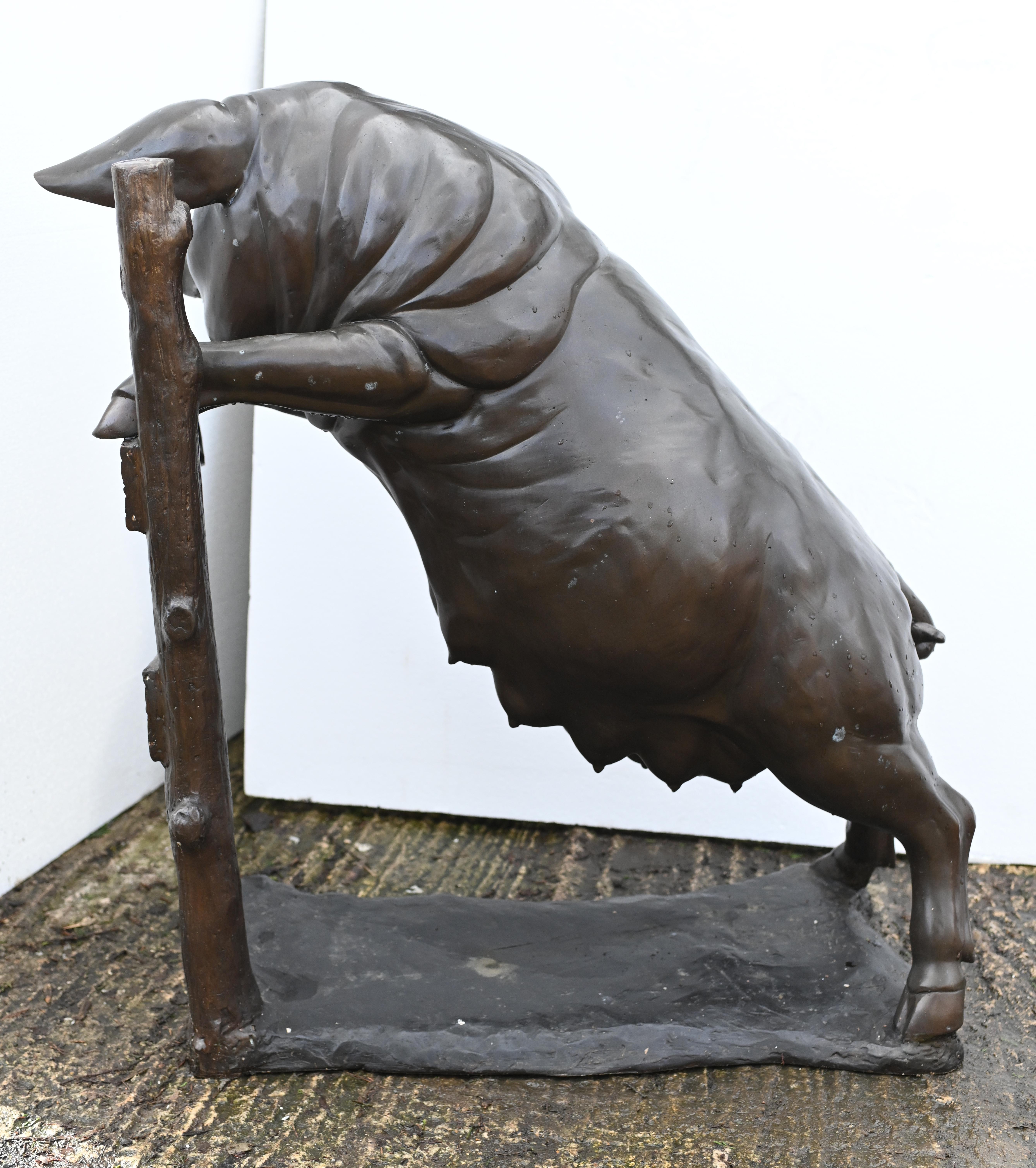 Lifesize Bronze Pig Statue Watching Sow Garden Art For Sale 3