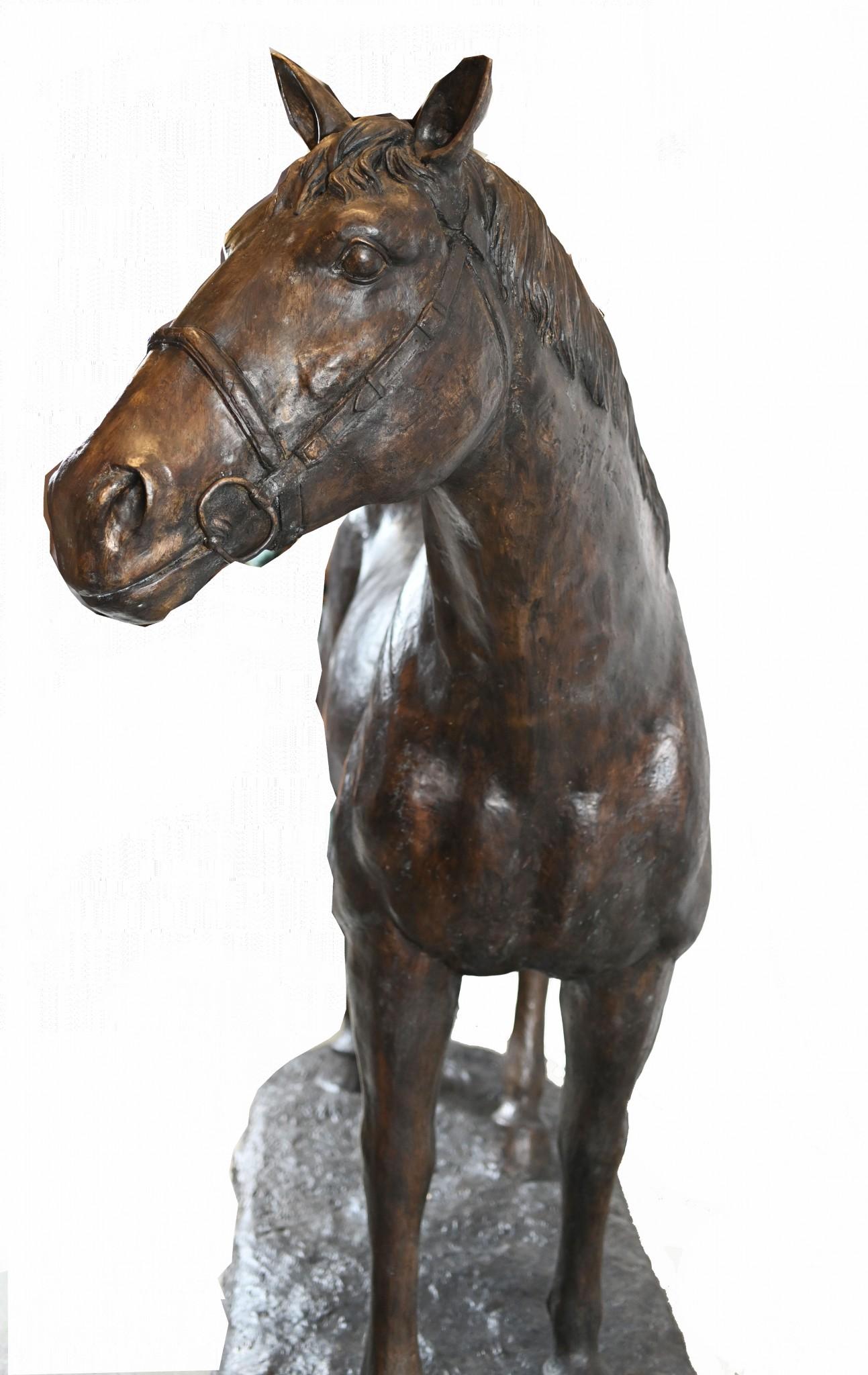 Lifesize French Bronze Horse Statue Architectural Bronze Horses Pony For Sale 5