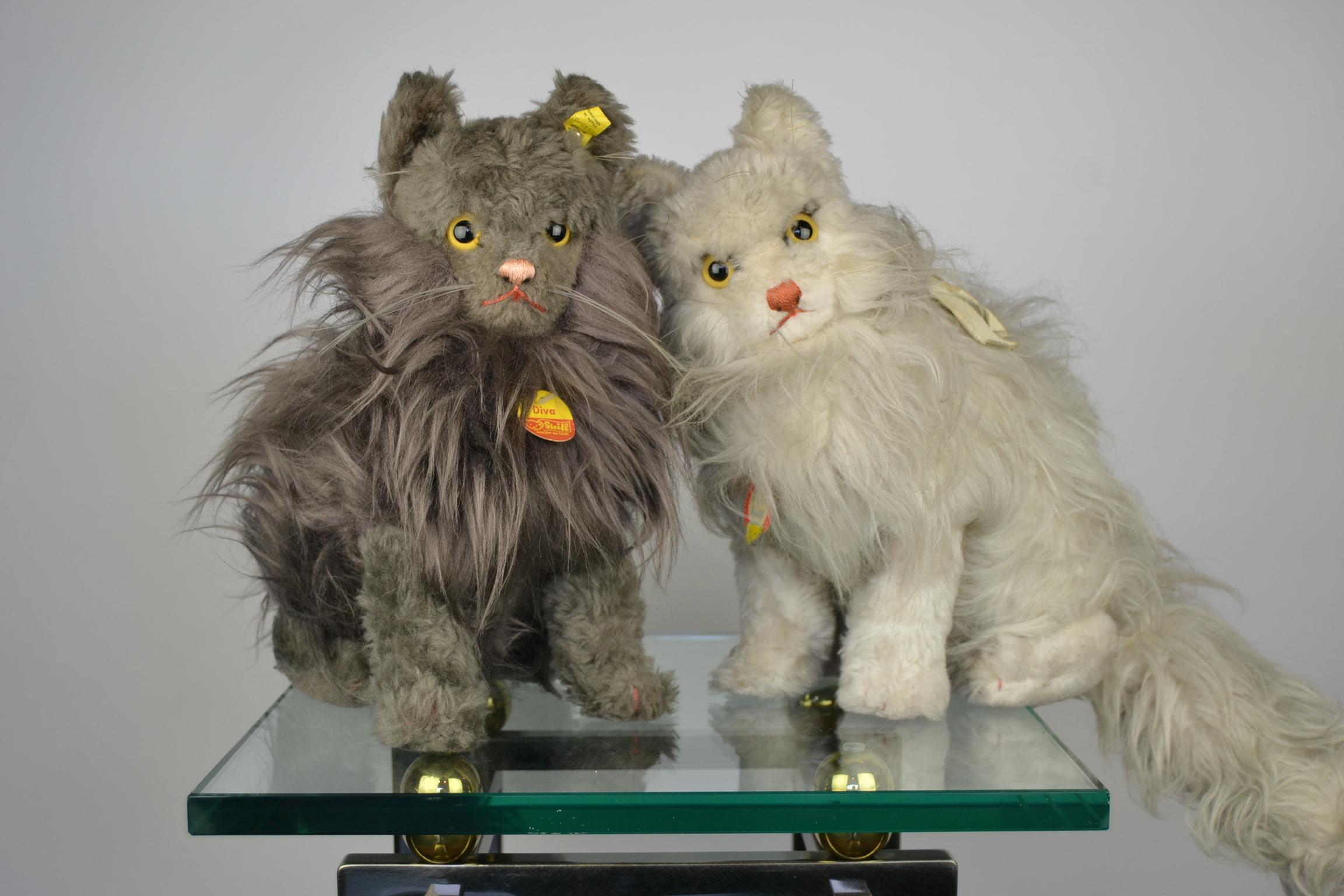 Lifesize Persian Cat Toy, Diva, by Steiff, Germany, 1968-1978 8