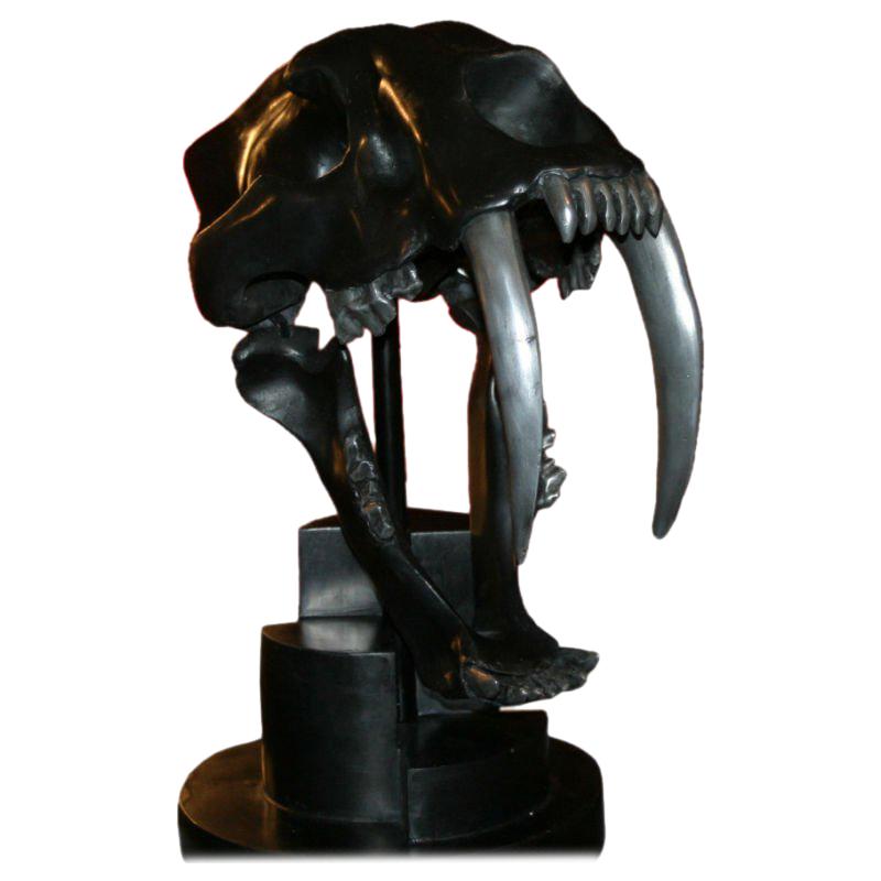 Lifesize Sabre Tooth Tiger Skull For Sale
