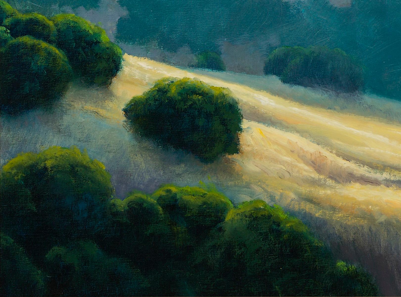 Lifting fog, oil on canvas, Armand Cabrera
Californian landscape

Armand Cabrera (born June 5, 1955 in San Francisco, California) is an American oil painter recognized for his en plein air landscape art, seascapes, cityscapes, still lifes and